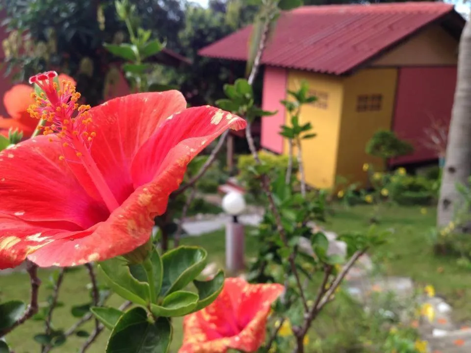 Facade/entrance in J.B.Hut Bungalows