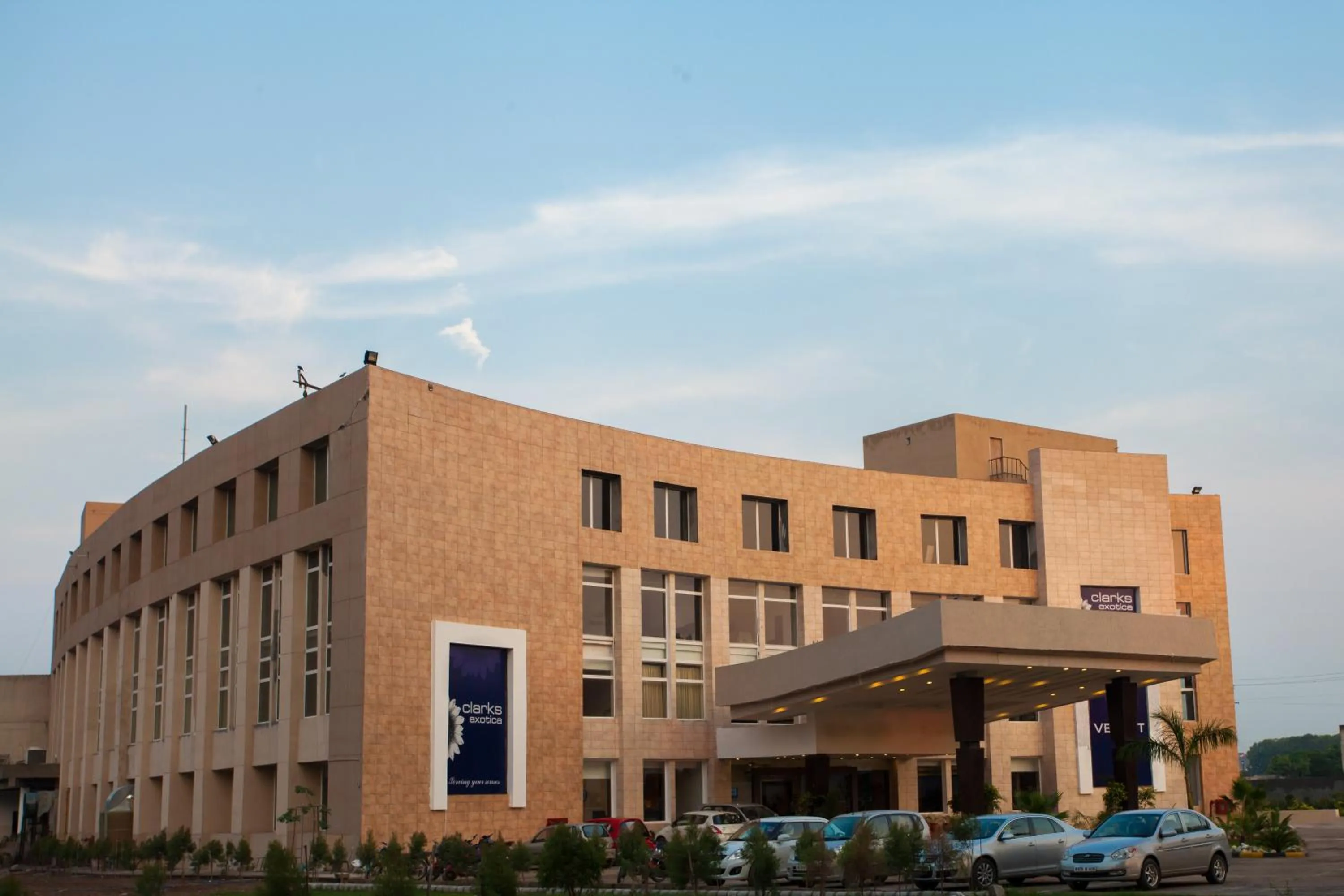 Bird's eye view in Velvet Clarks Exotica