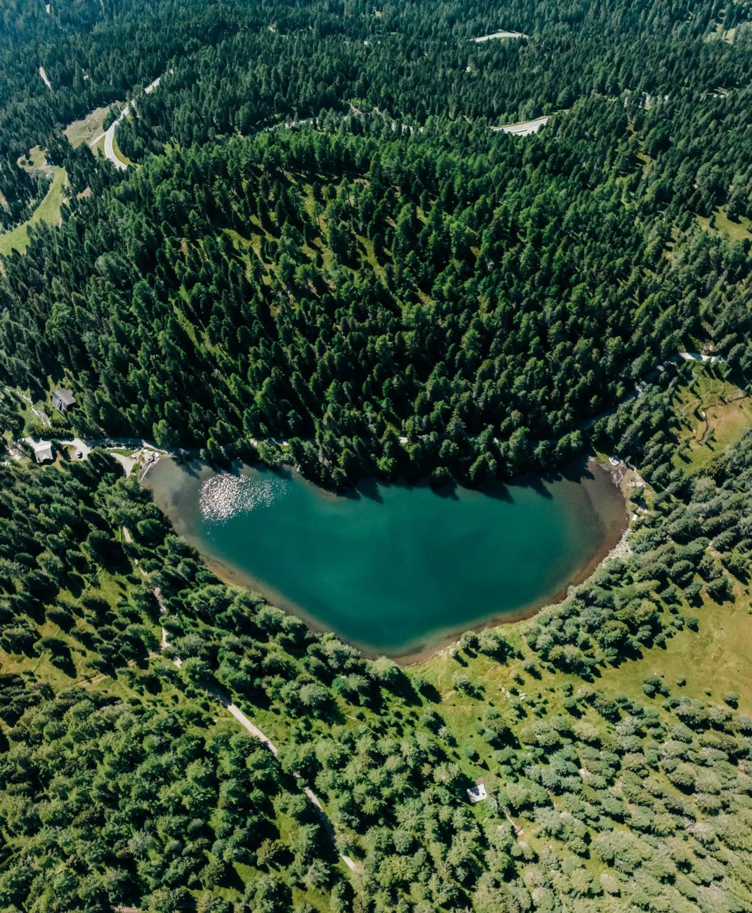 Area and facilities in Hotel Hochschober