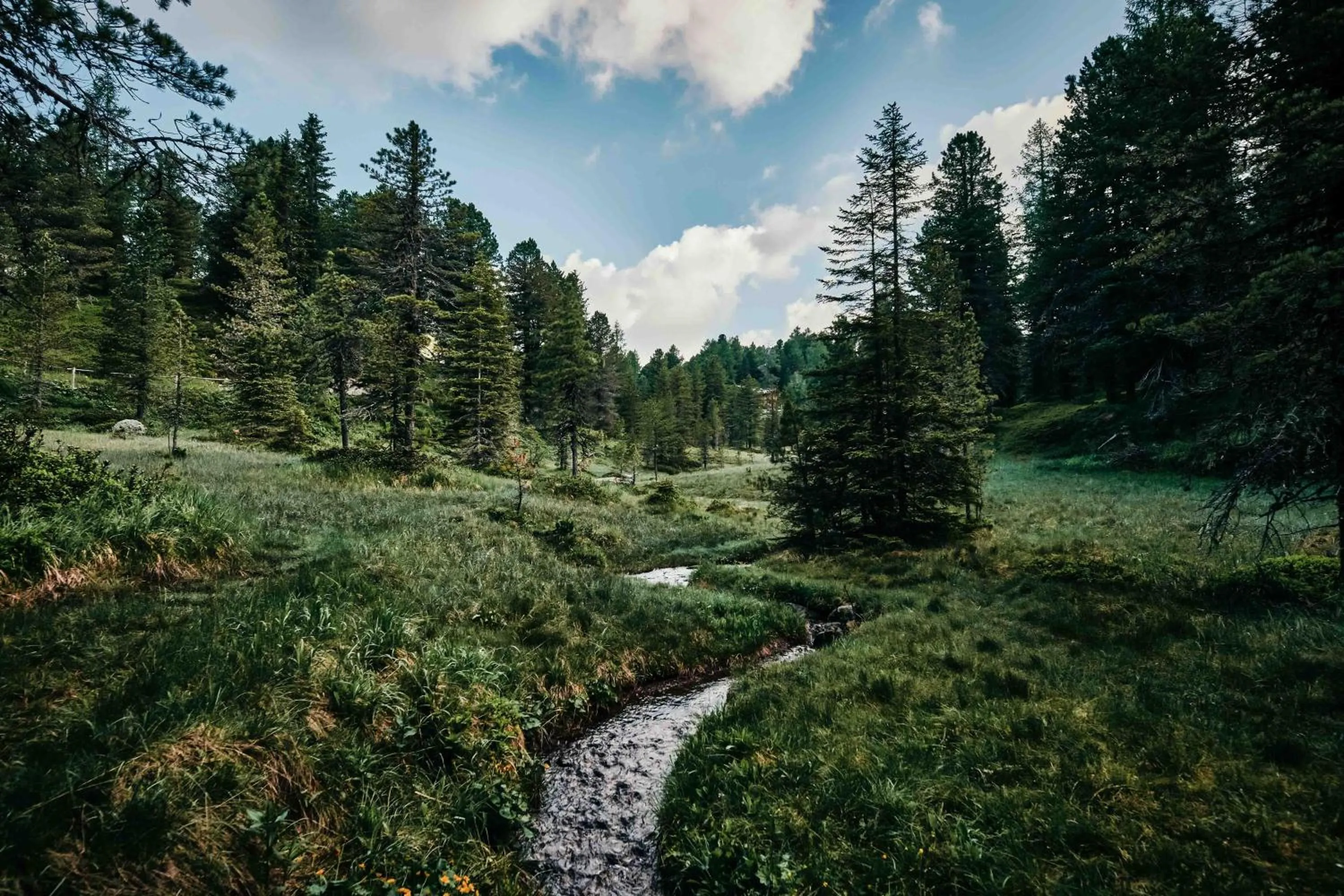 Natural landscape in Hotel Hochschober