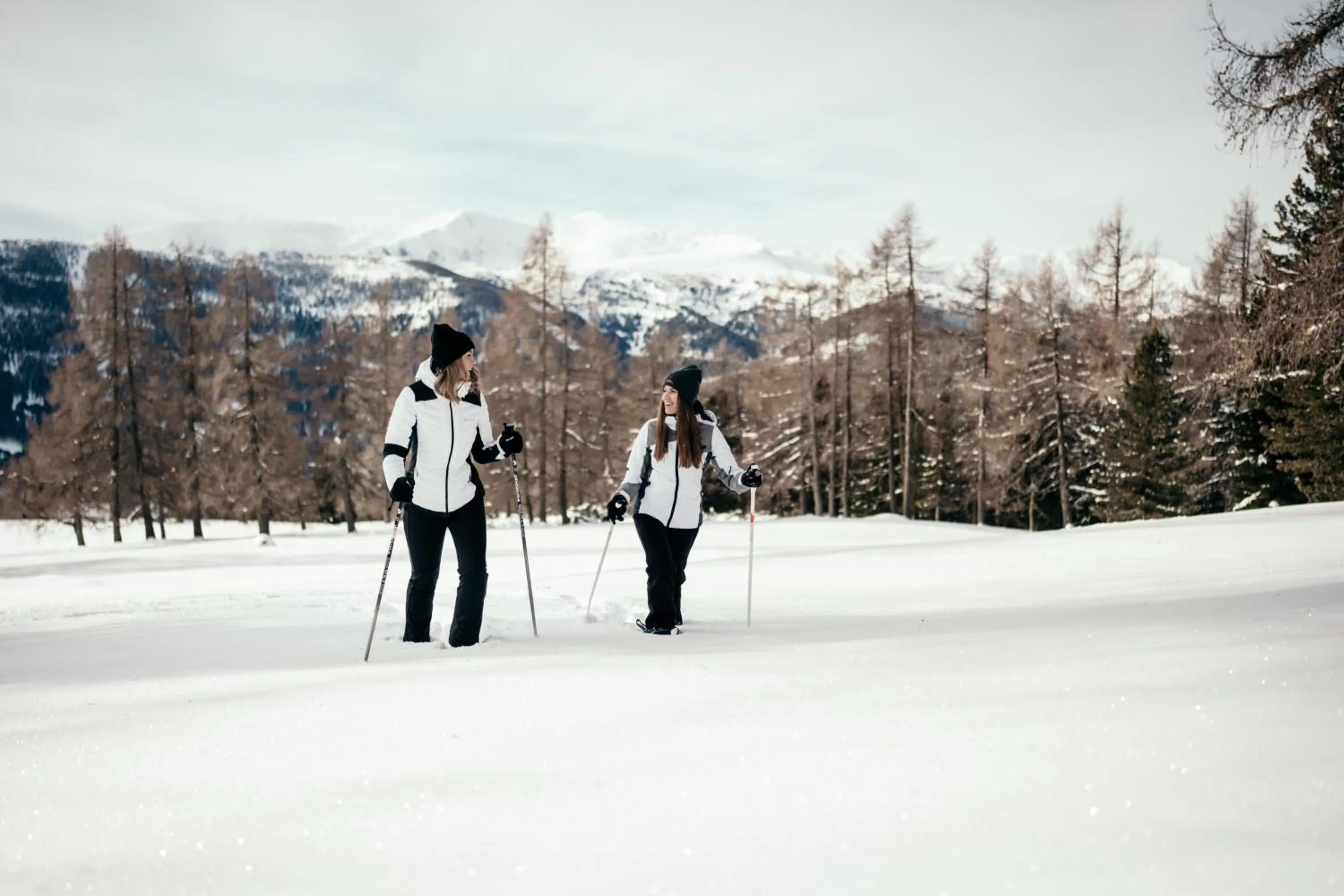 Natural landscape in Hotel Hochschober