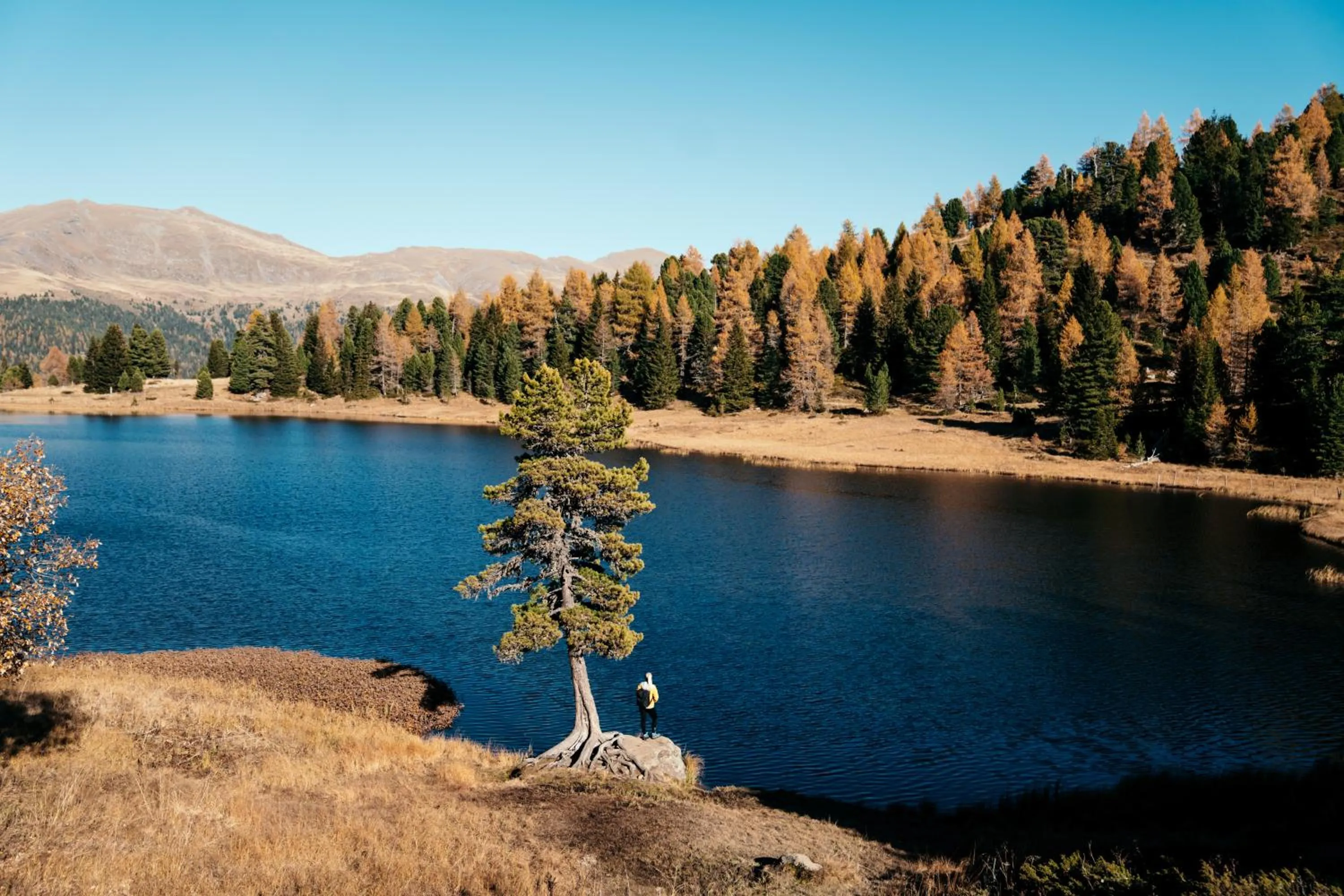 Natural landscape in Hotel Hochschober