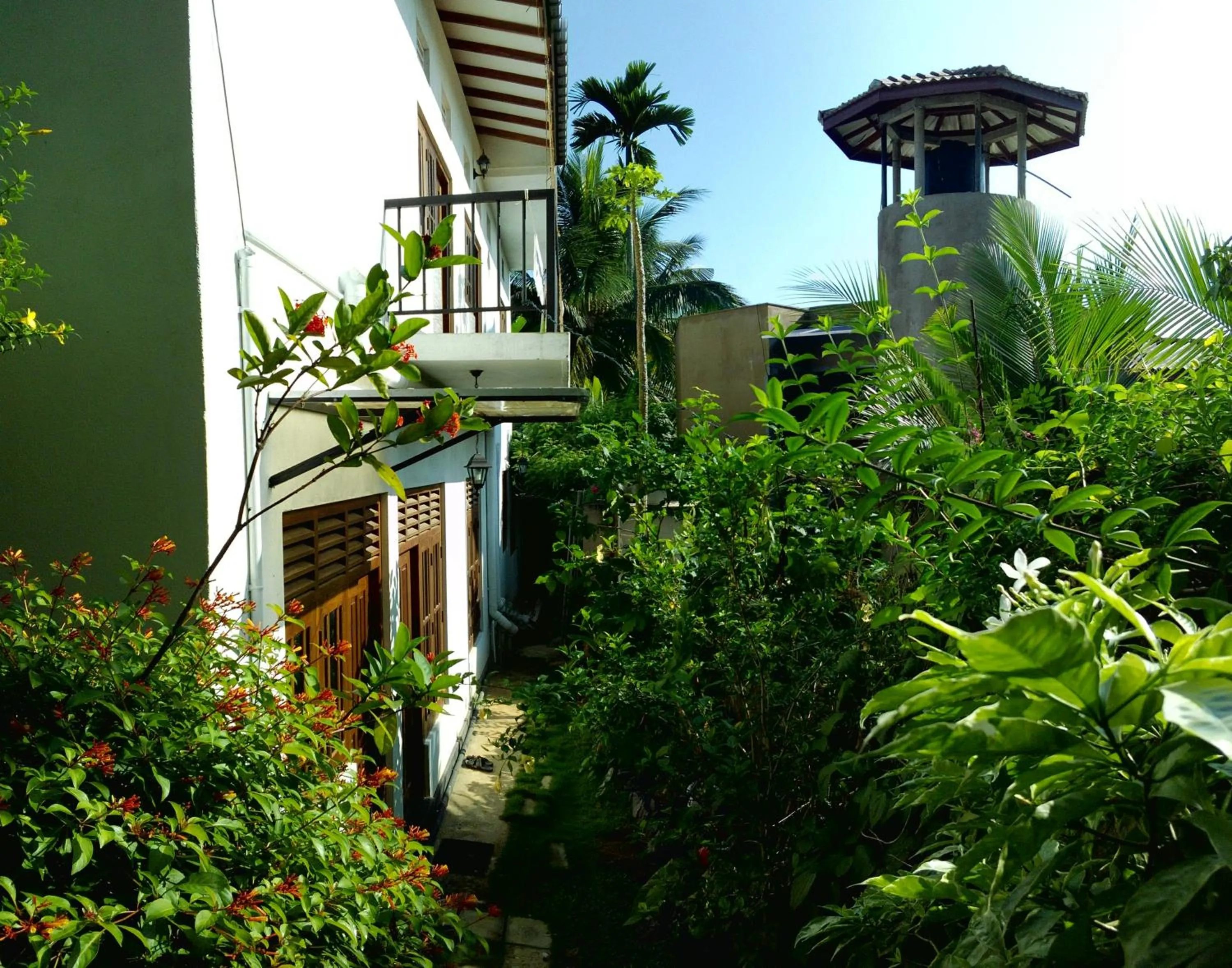 Bird's eye view in Sunny Side 89