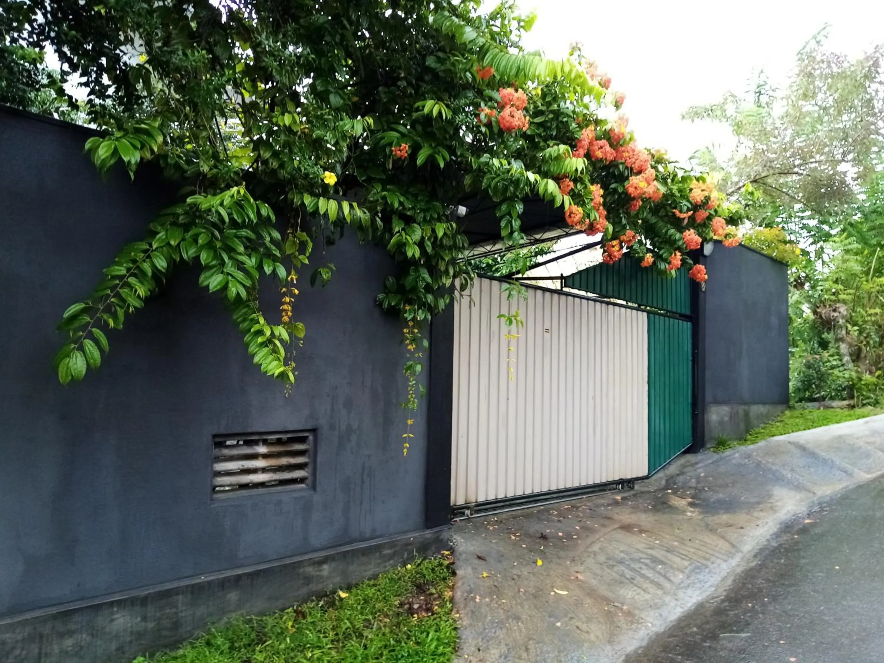 Property building in Sunny Side 89