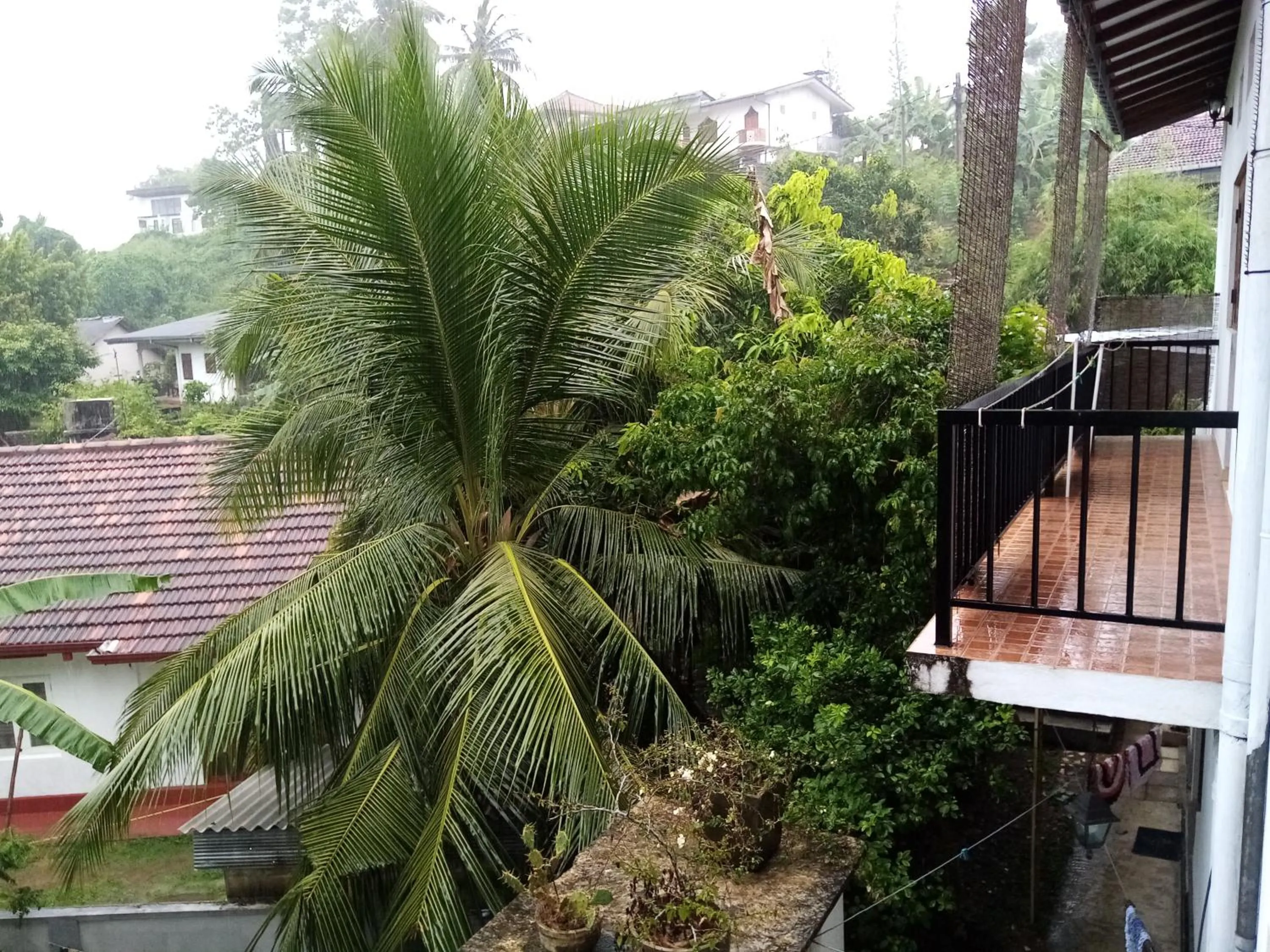 Balcony/Terrace in Sunny Side 89