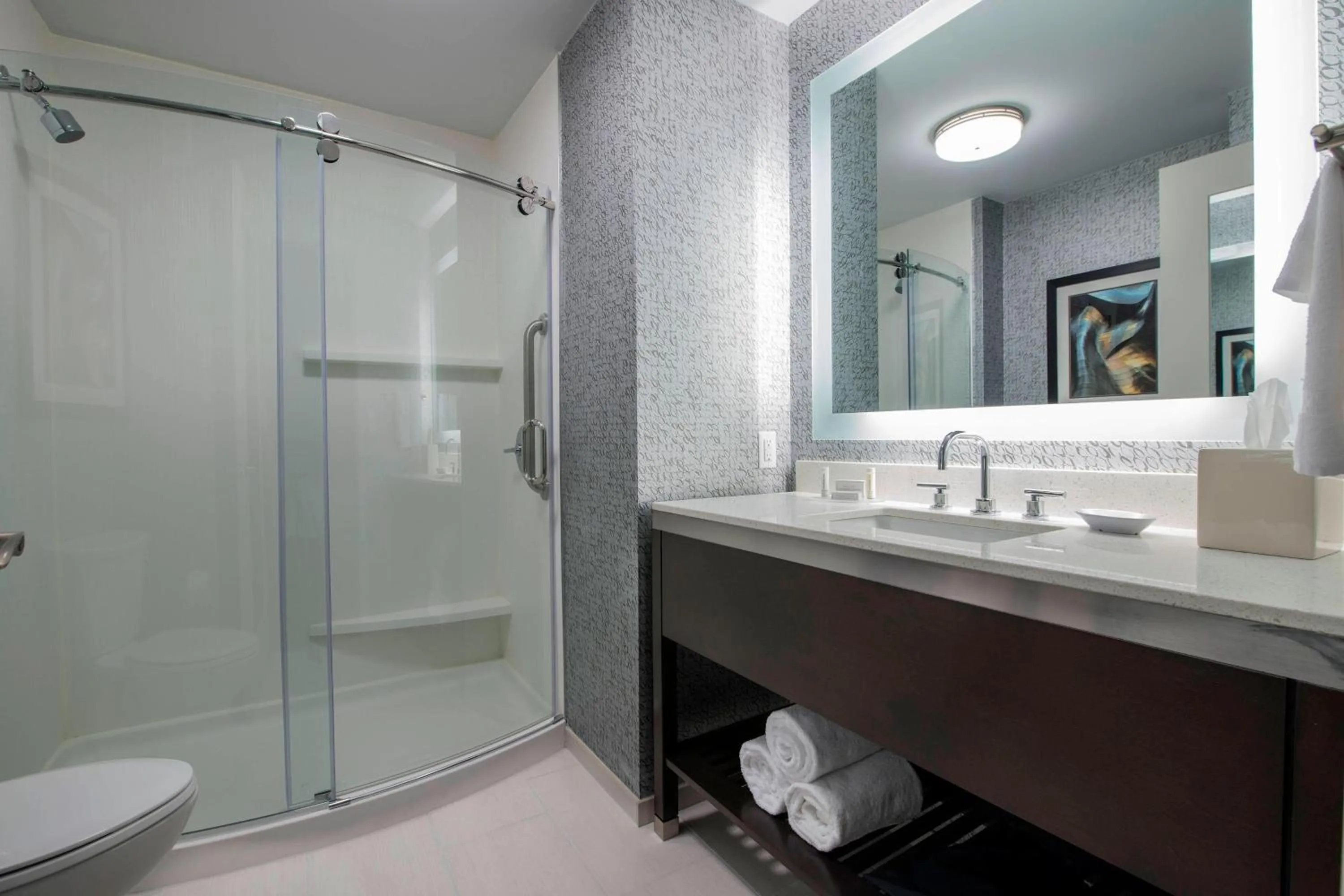 Bathroom in TownePlace Suites by Marriott Boston Logan Airport/Chelsea