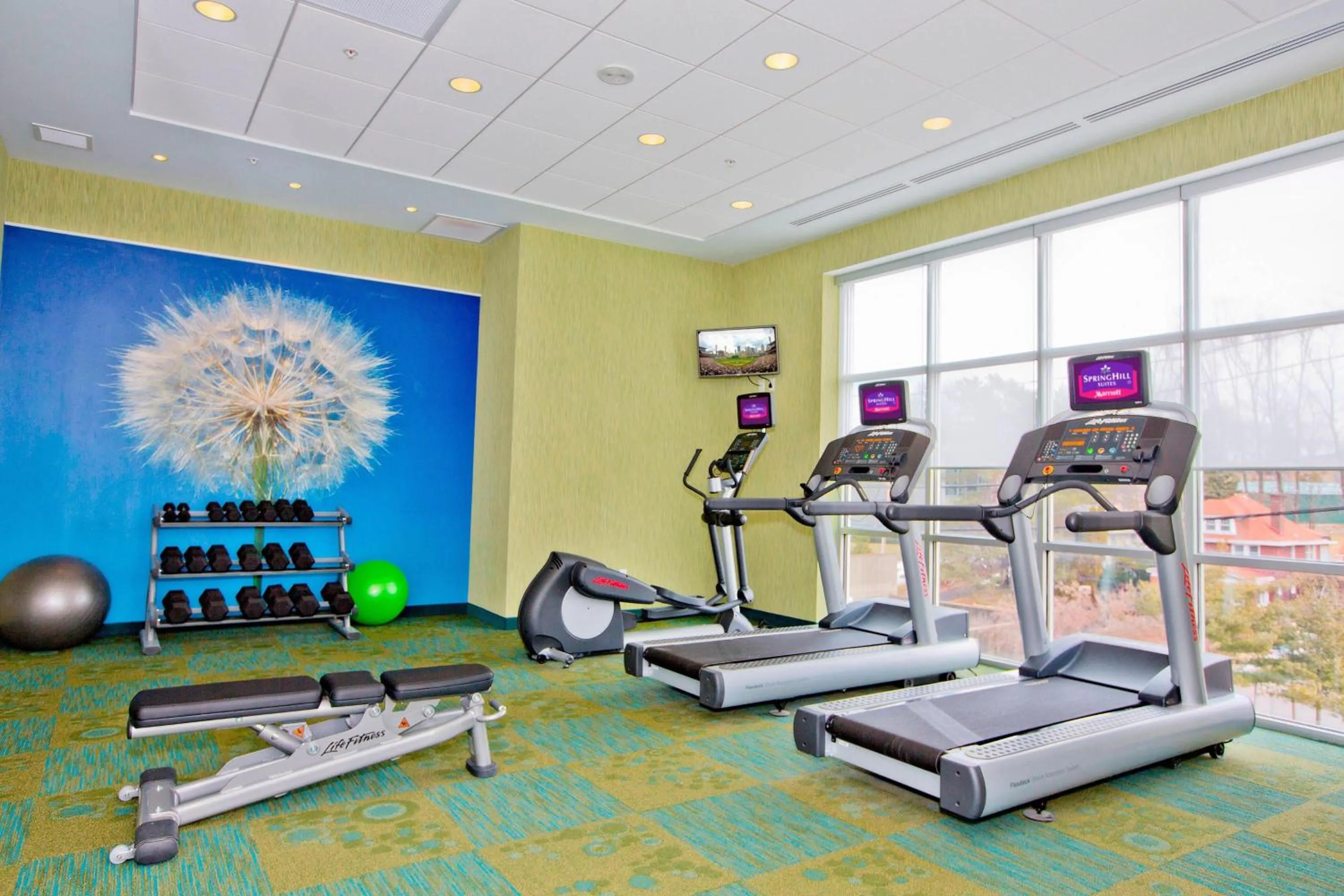 Fitness centre/facilities in SpringHill Suites by Marriott Pittsburgh Mt. Lebanon