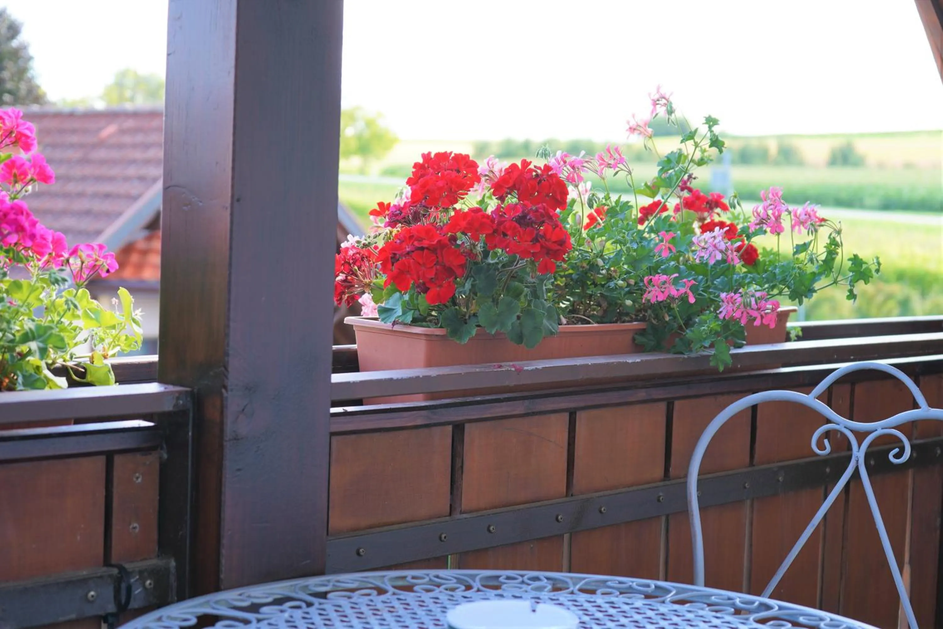 Spring in Hotel Garni Alte Post