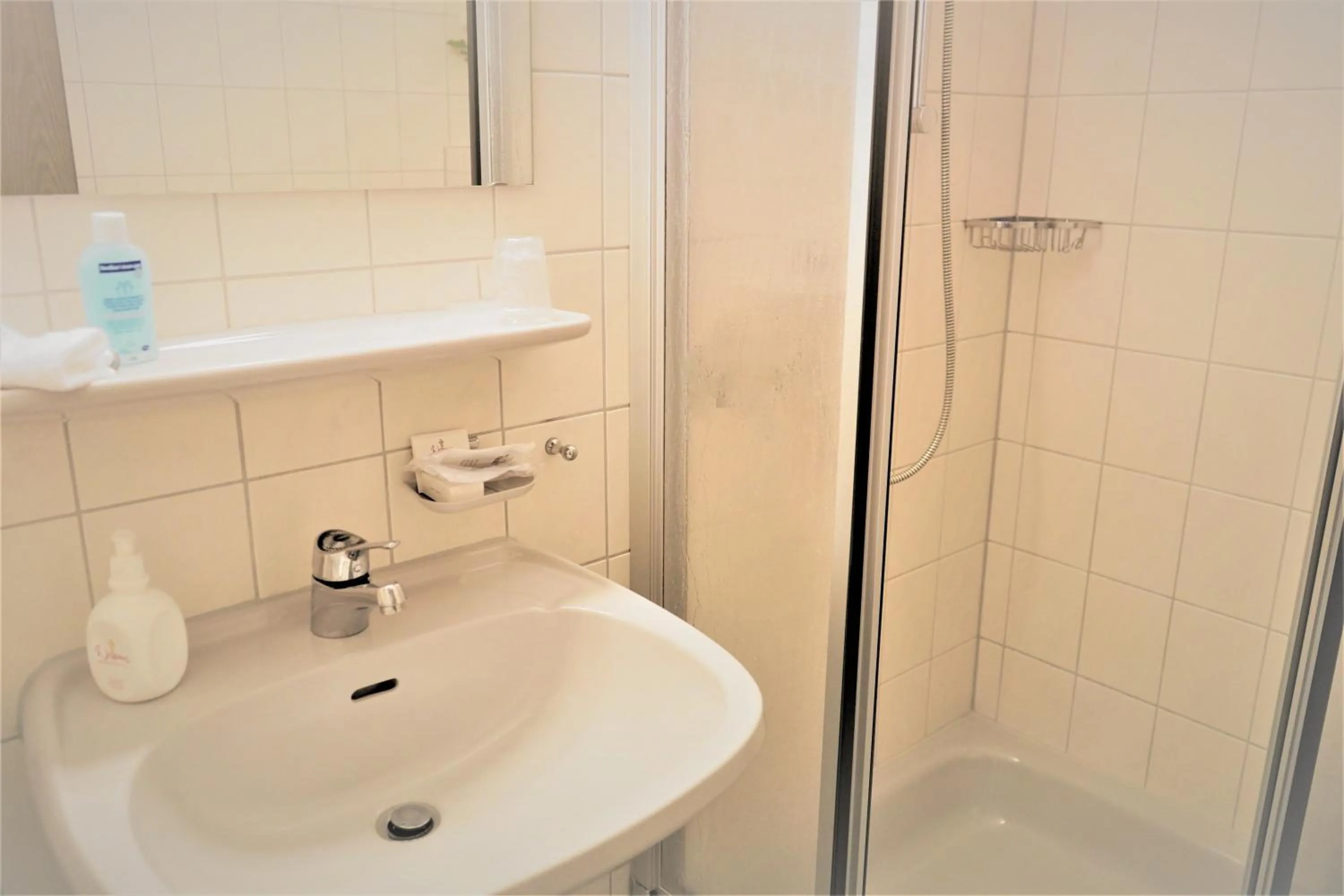 Shower in Hotel Garni Alte Post