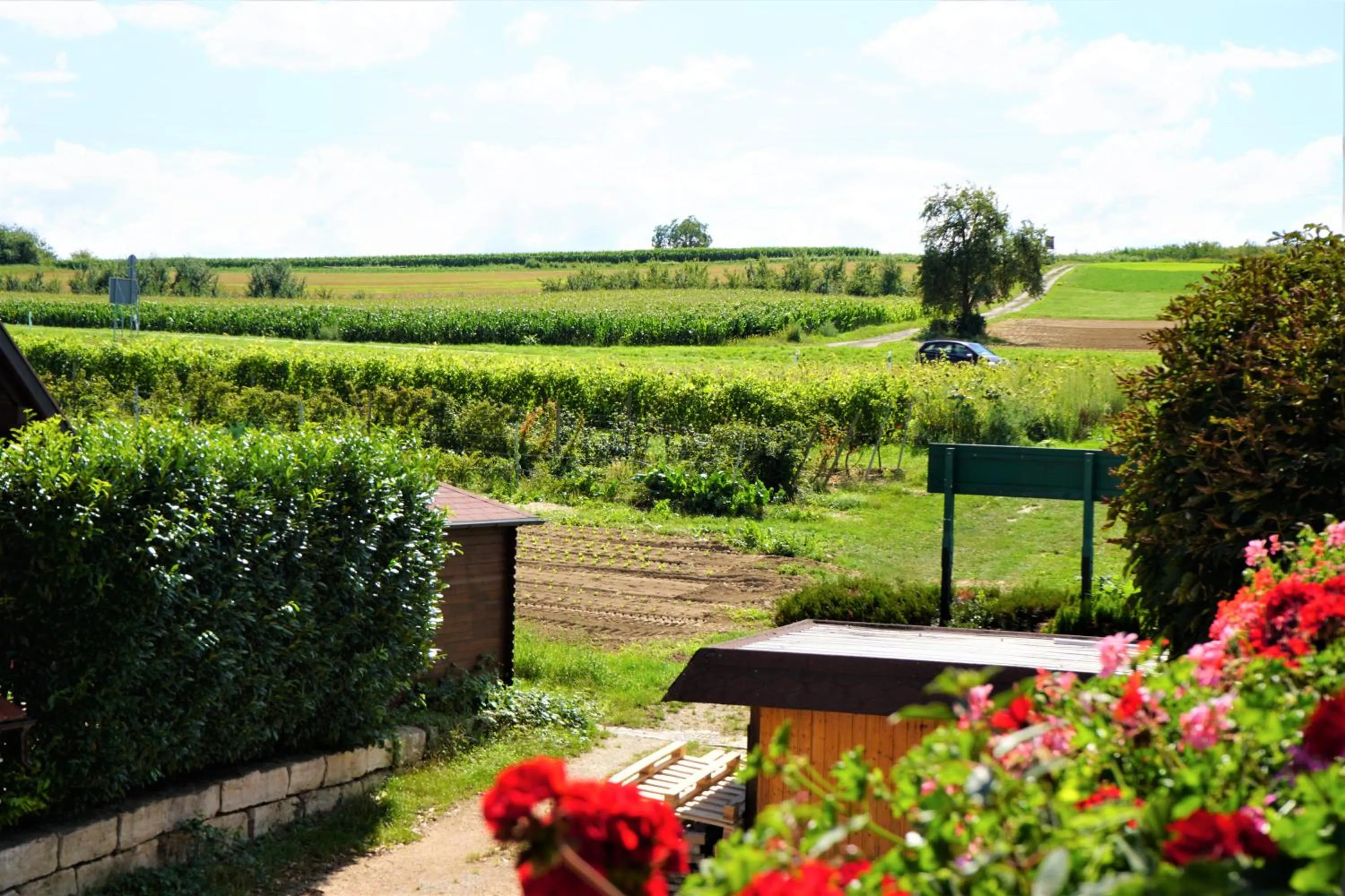 Spring in Hotel Garni Alte Post