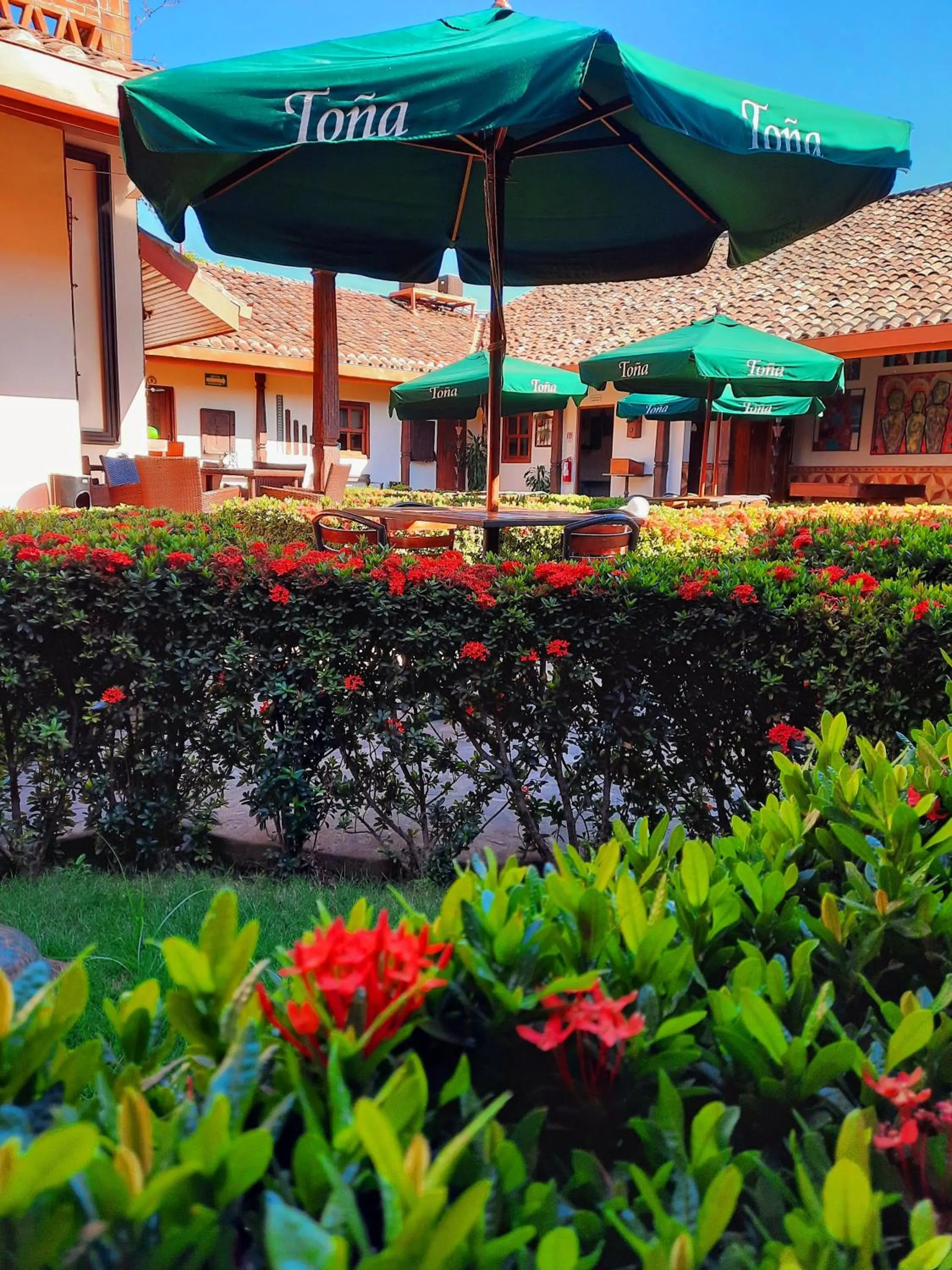 Garden in Hotel La Posada del Doctor