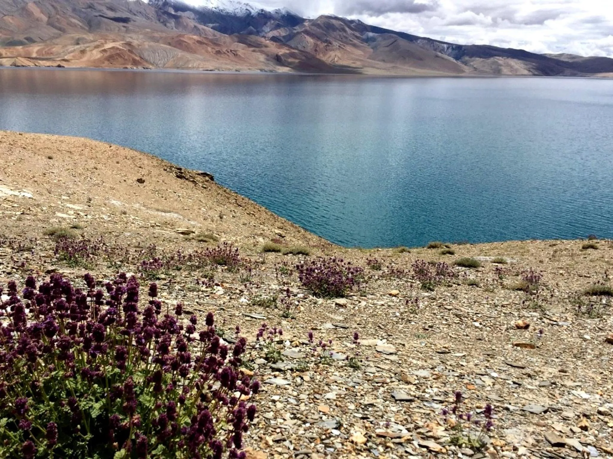 Lake view in Tsomoriri Hotel Lake View