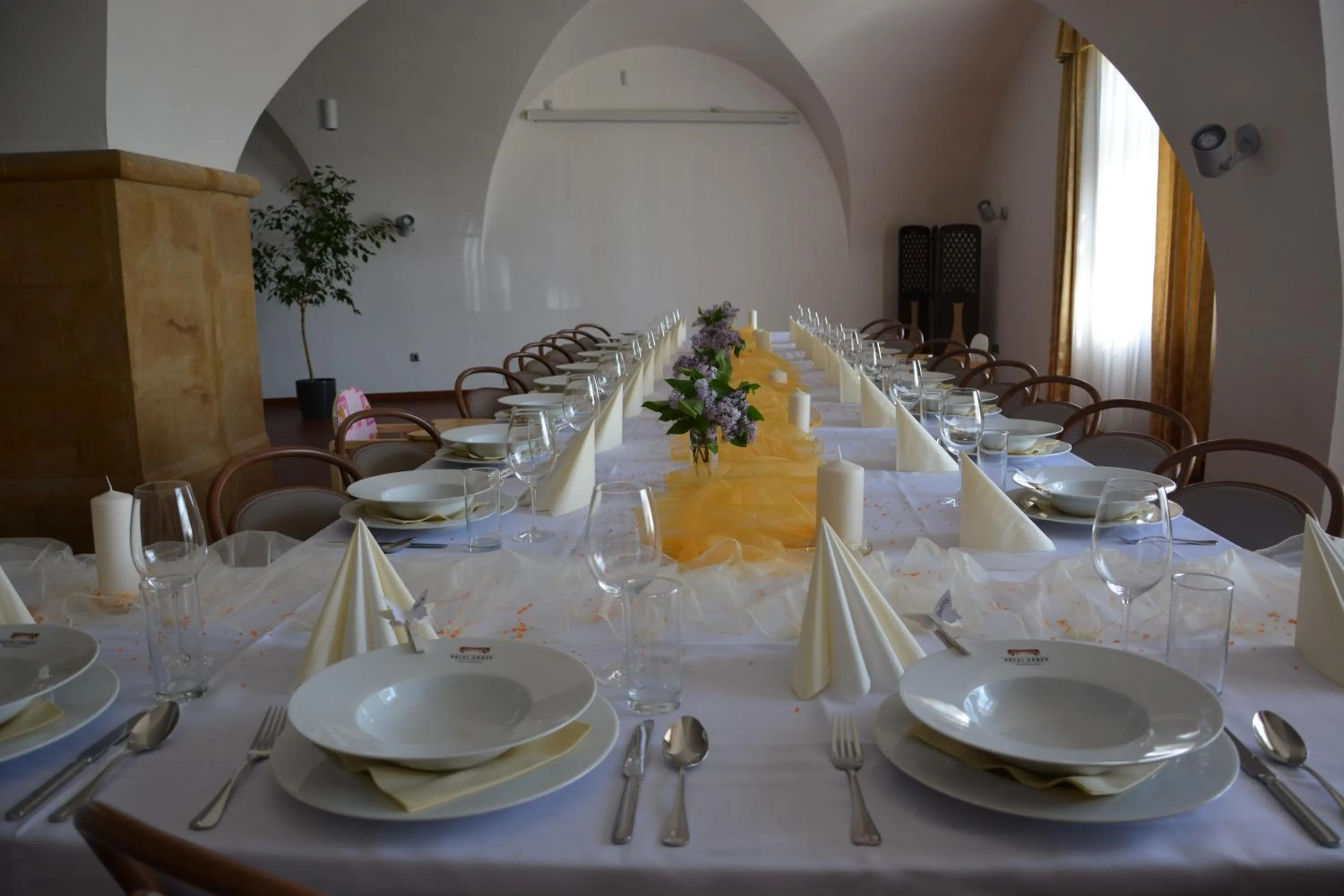 Banquet/Function facilities in Hotel Zámek Velká Bystřice