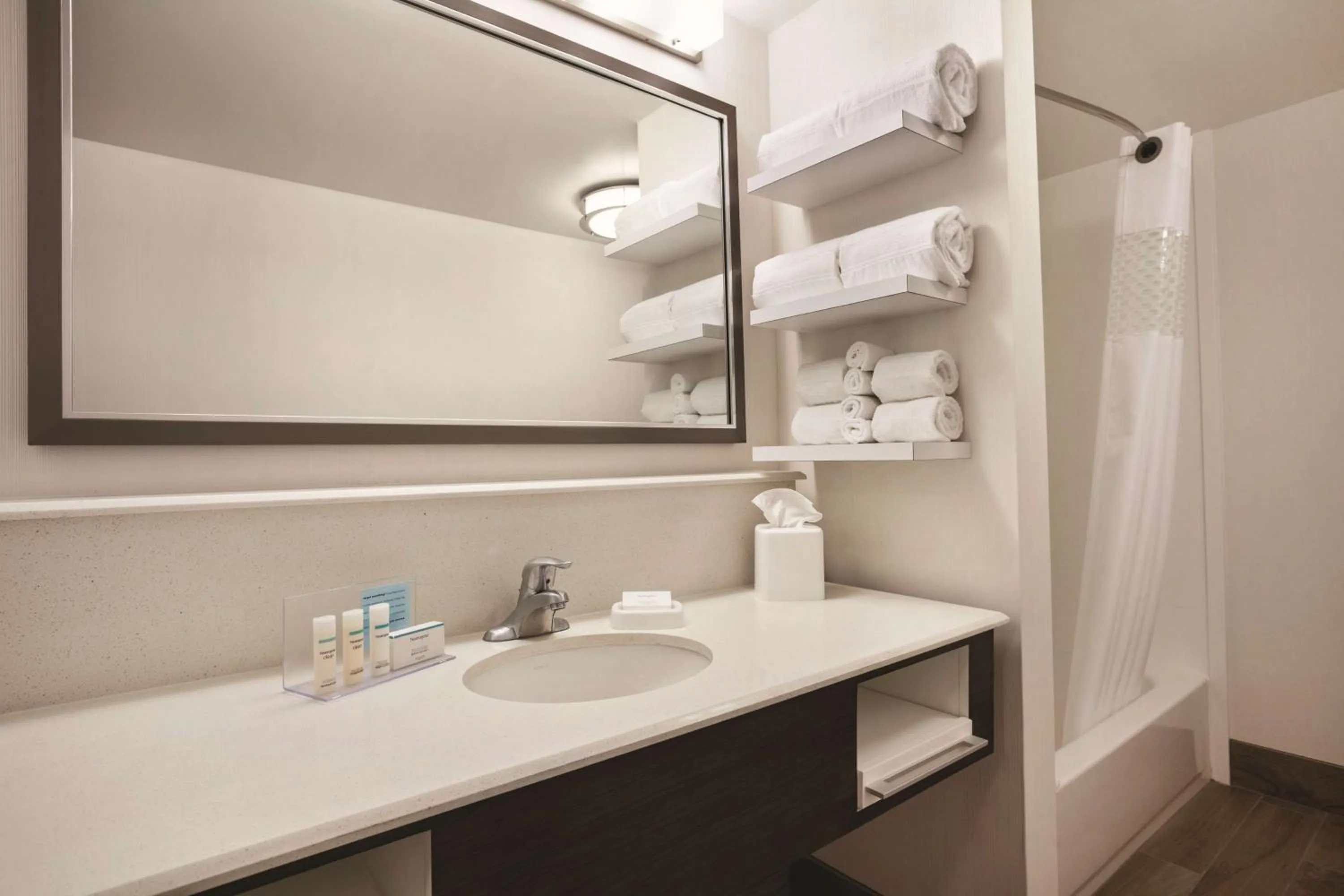 Bathroom in Hampton Inn Brigham City