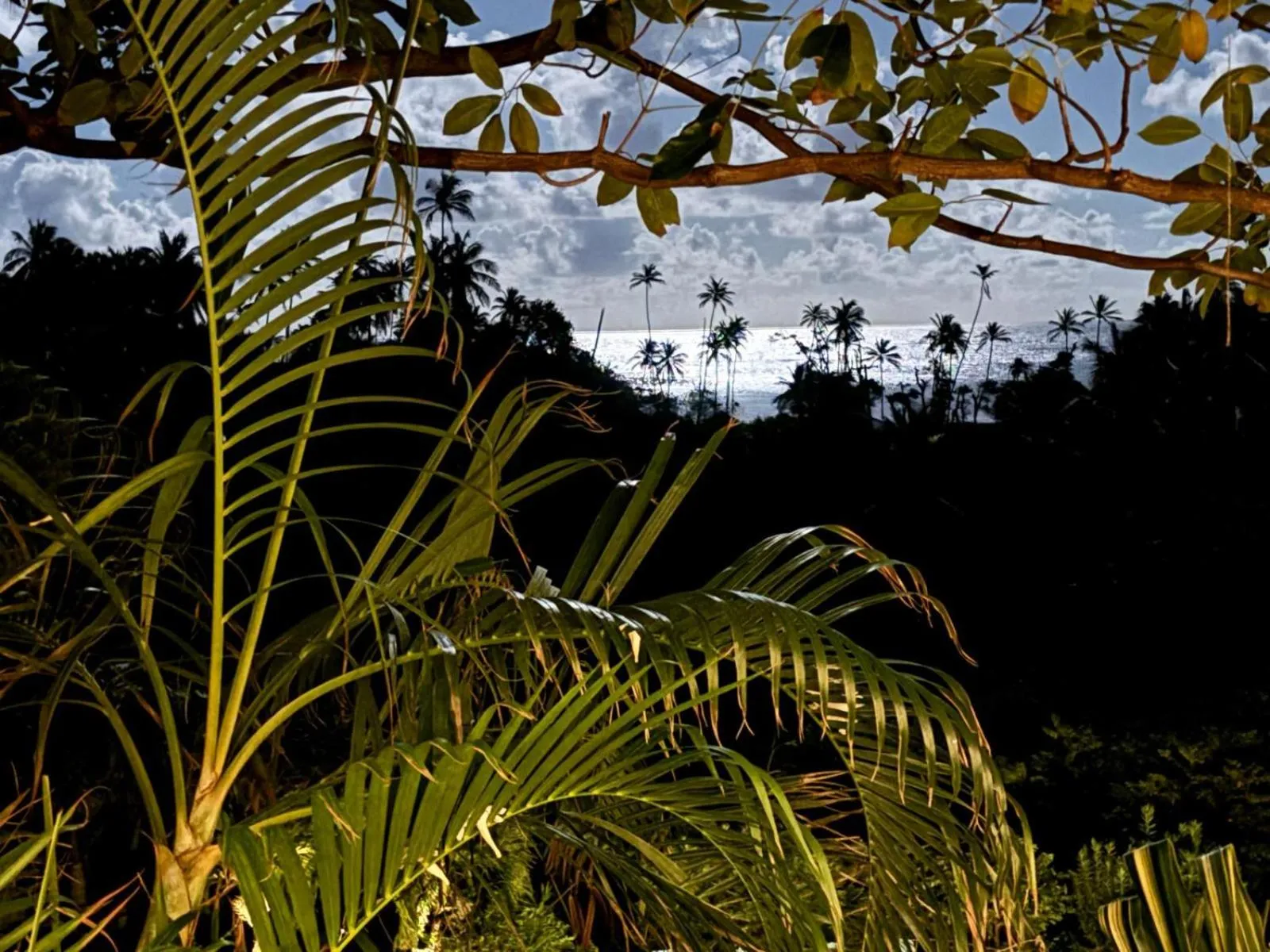 View (from property/room) in Firefly Estate Bequia