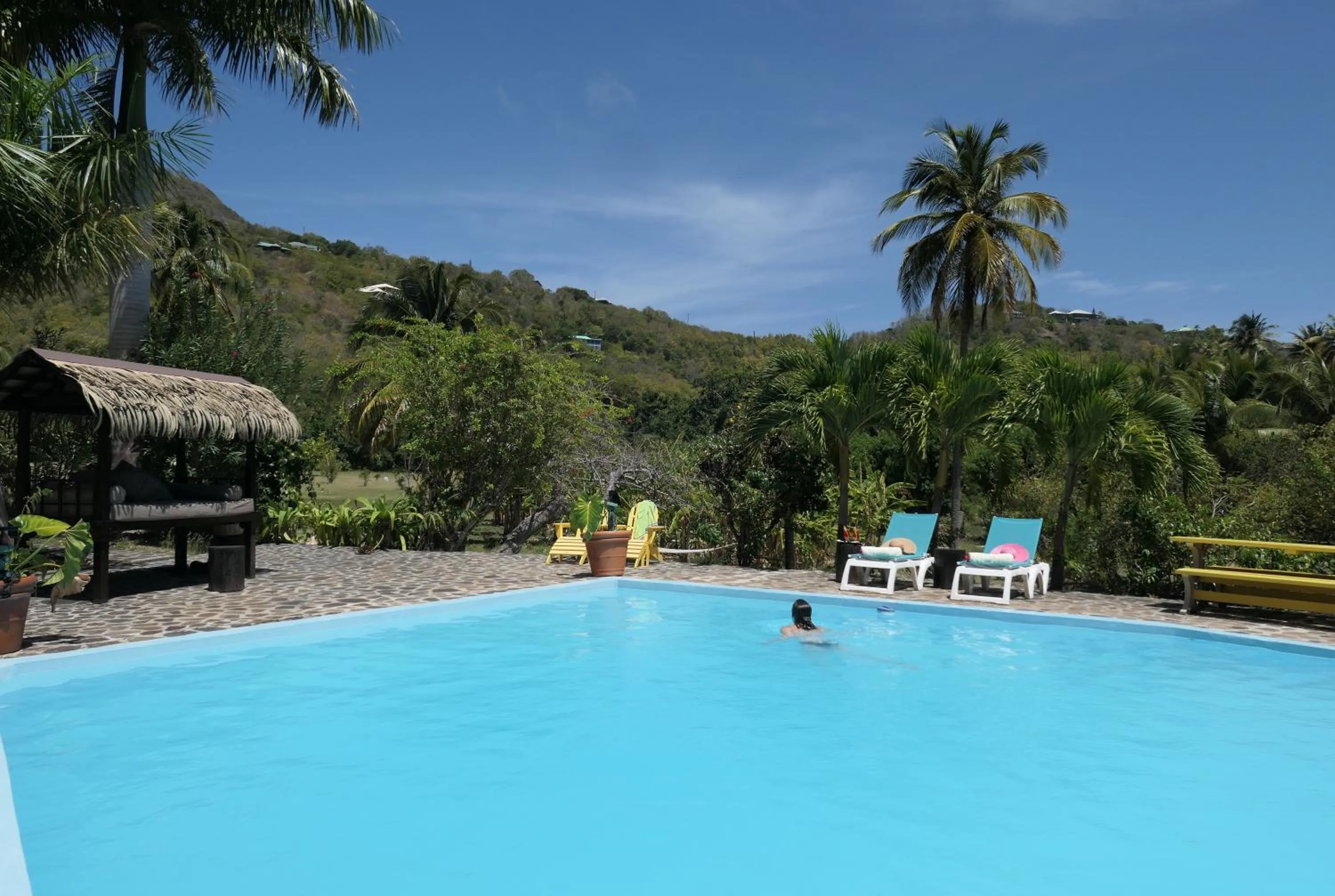 Swimming pool in Firefly Estate Bequia