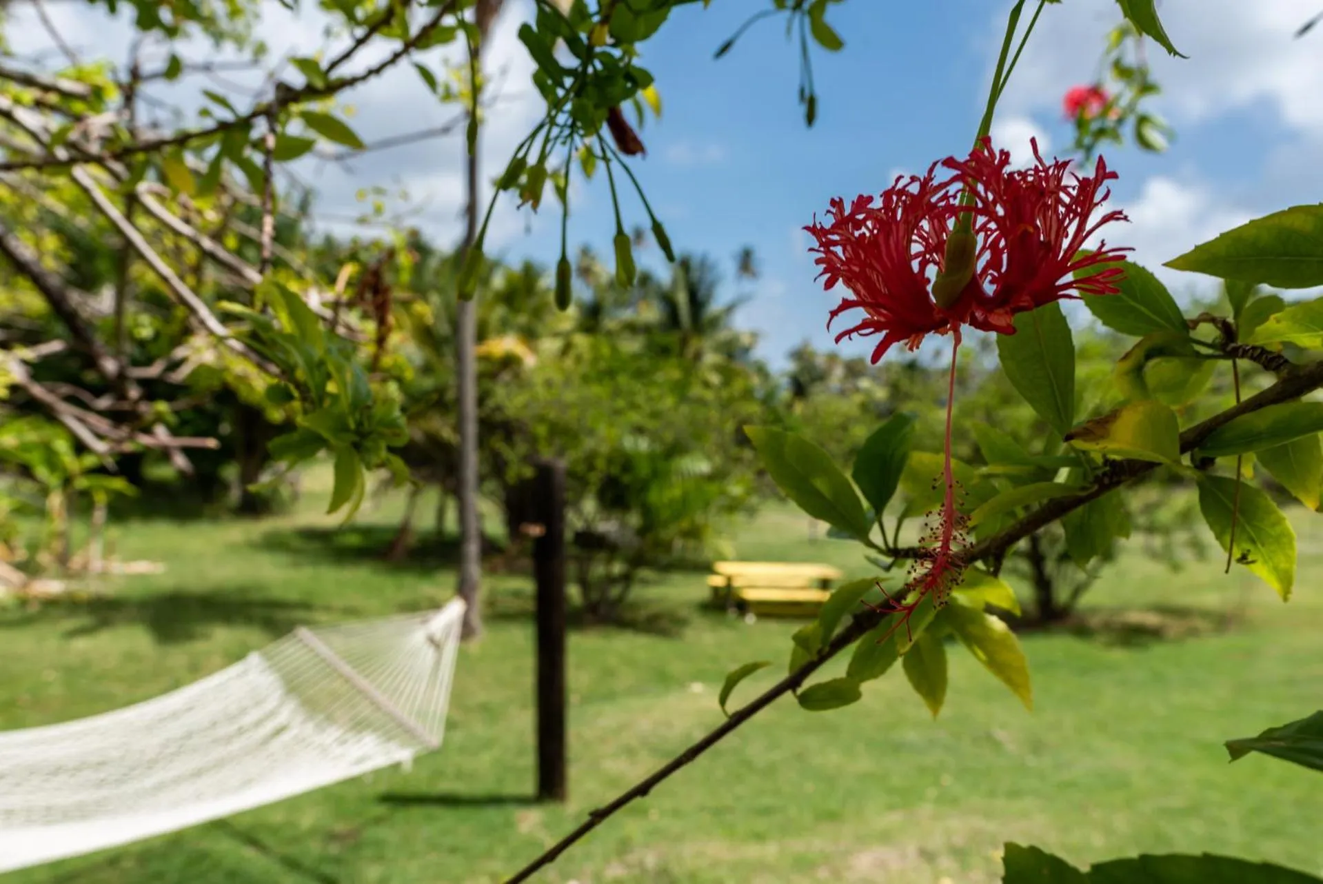 Garden in Firefly Estate Bequia