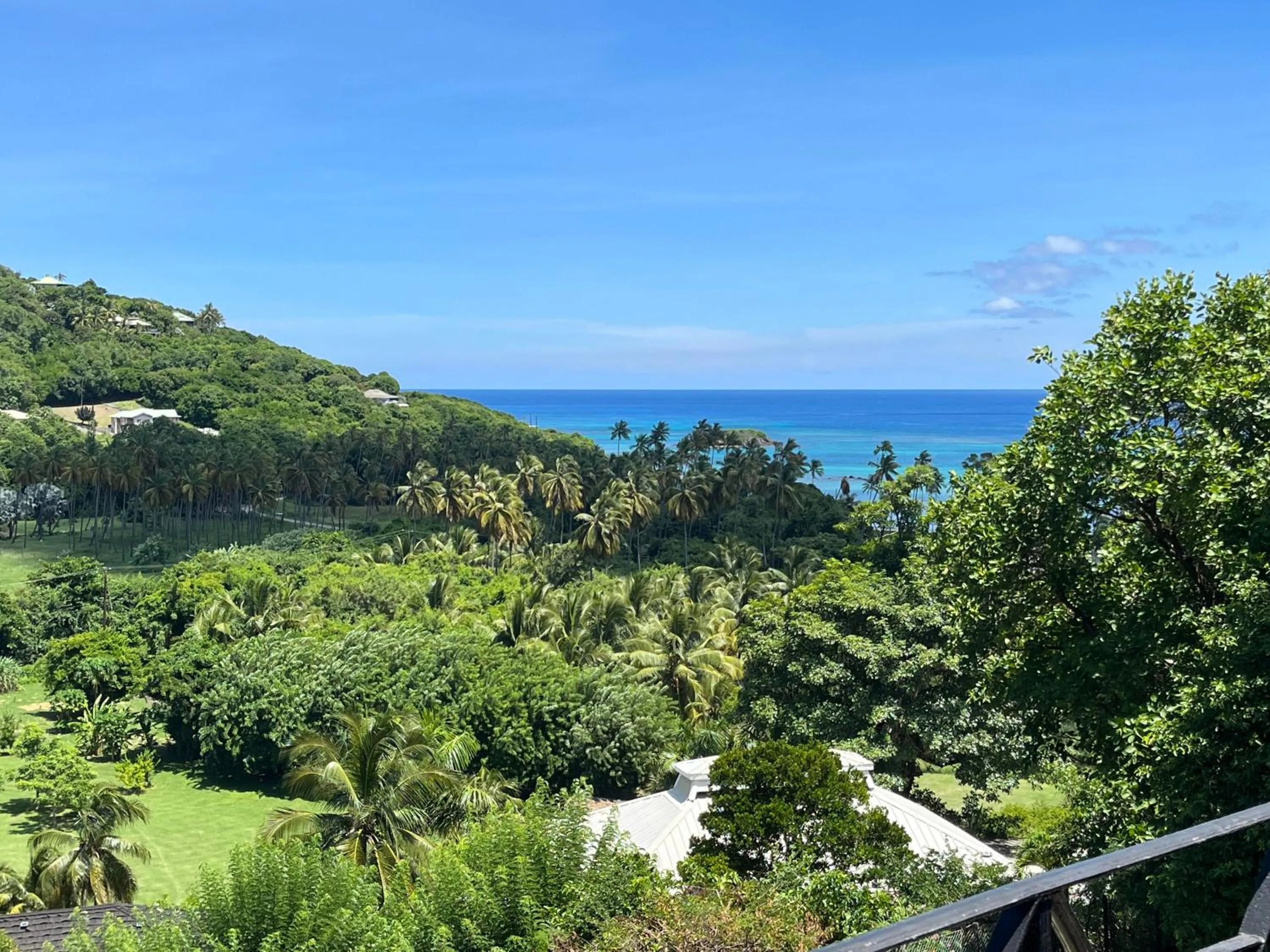 View (from property/room) in Firefly Estate Bequia