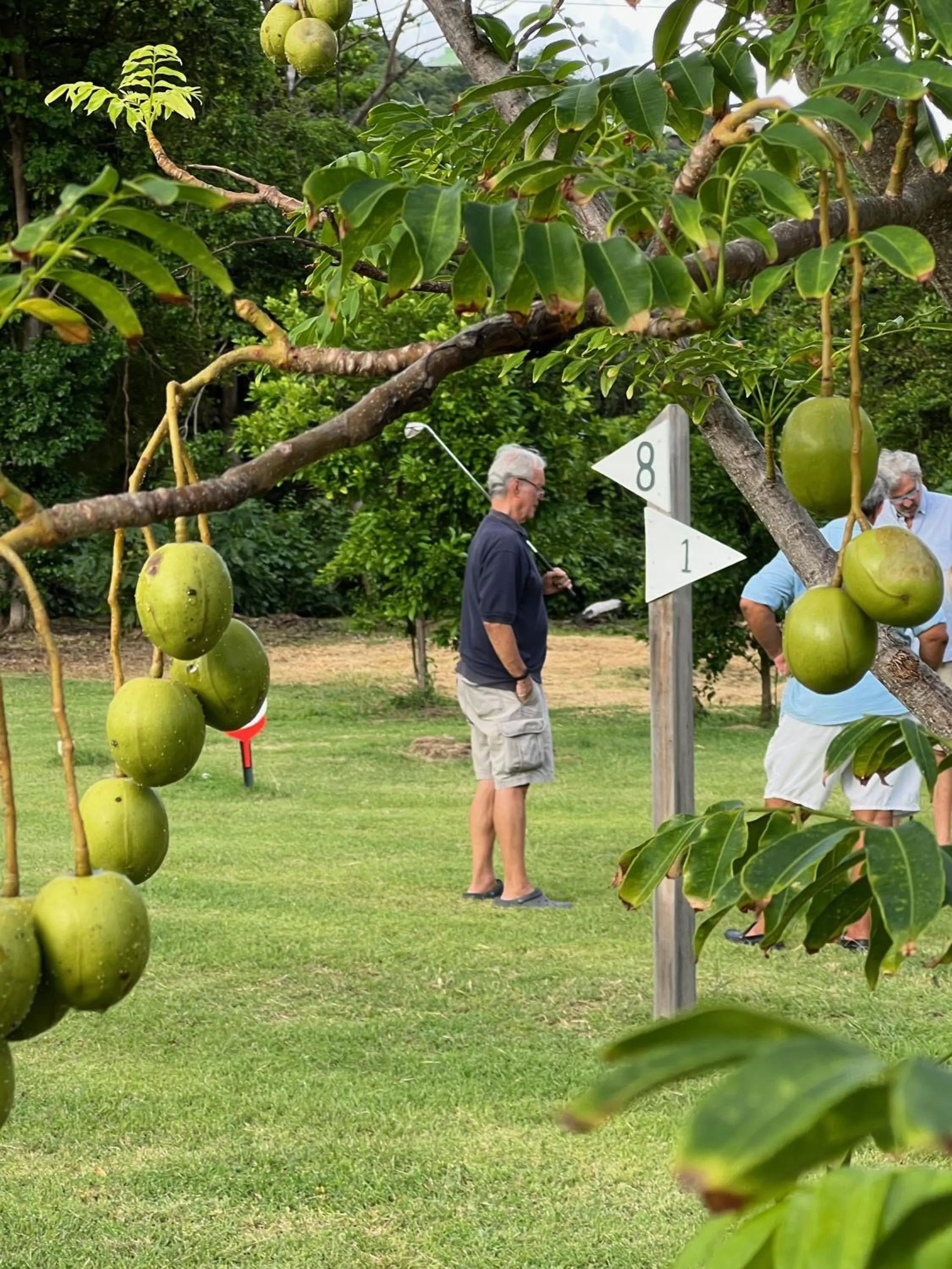 Golfcourse in Firefly Estate Bequia