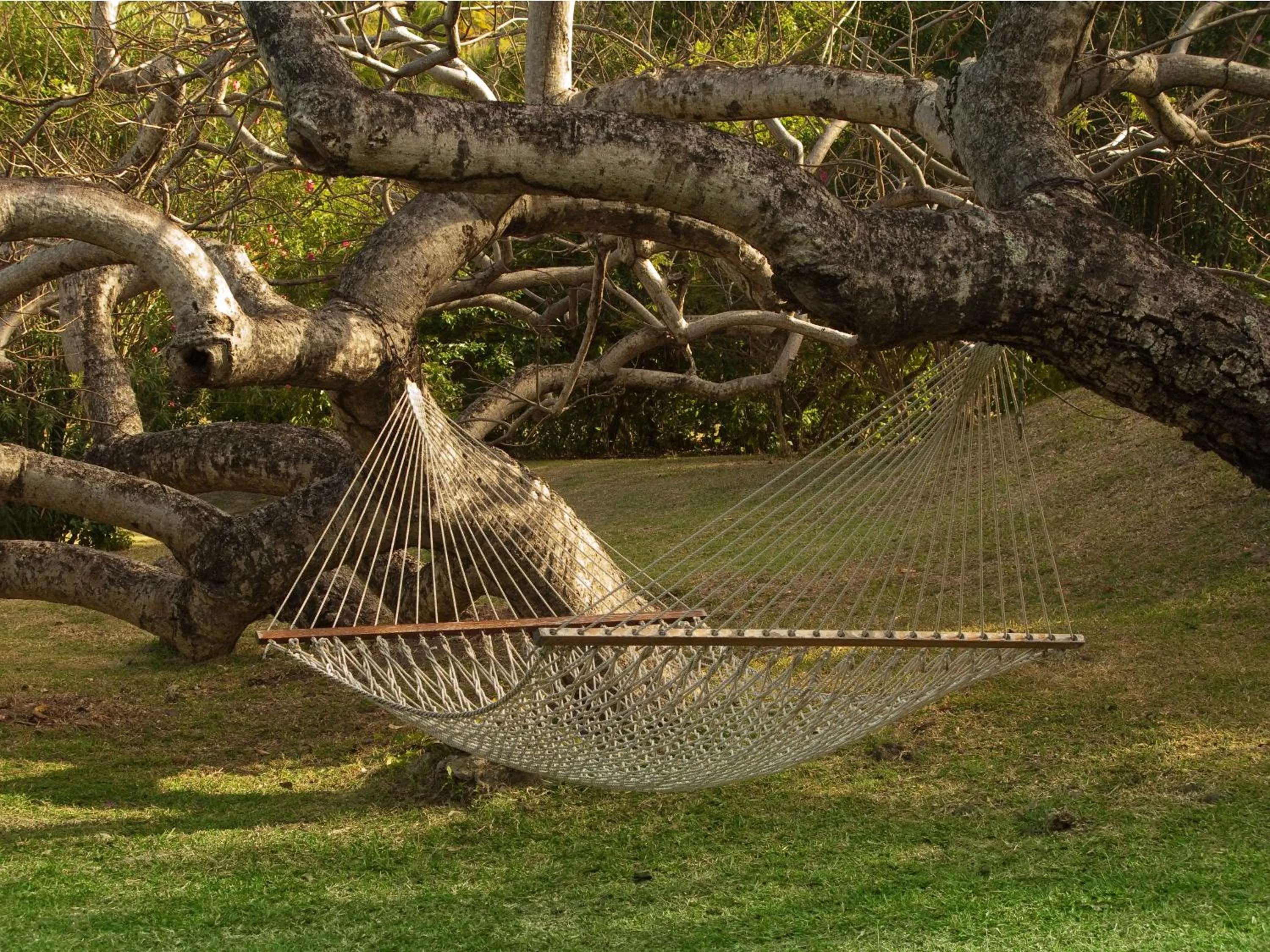 Garden in Firefly Estate Bequia