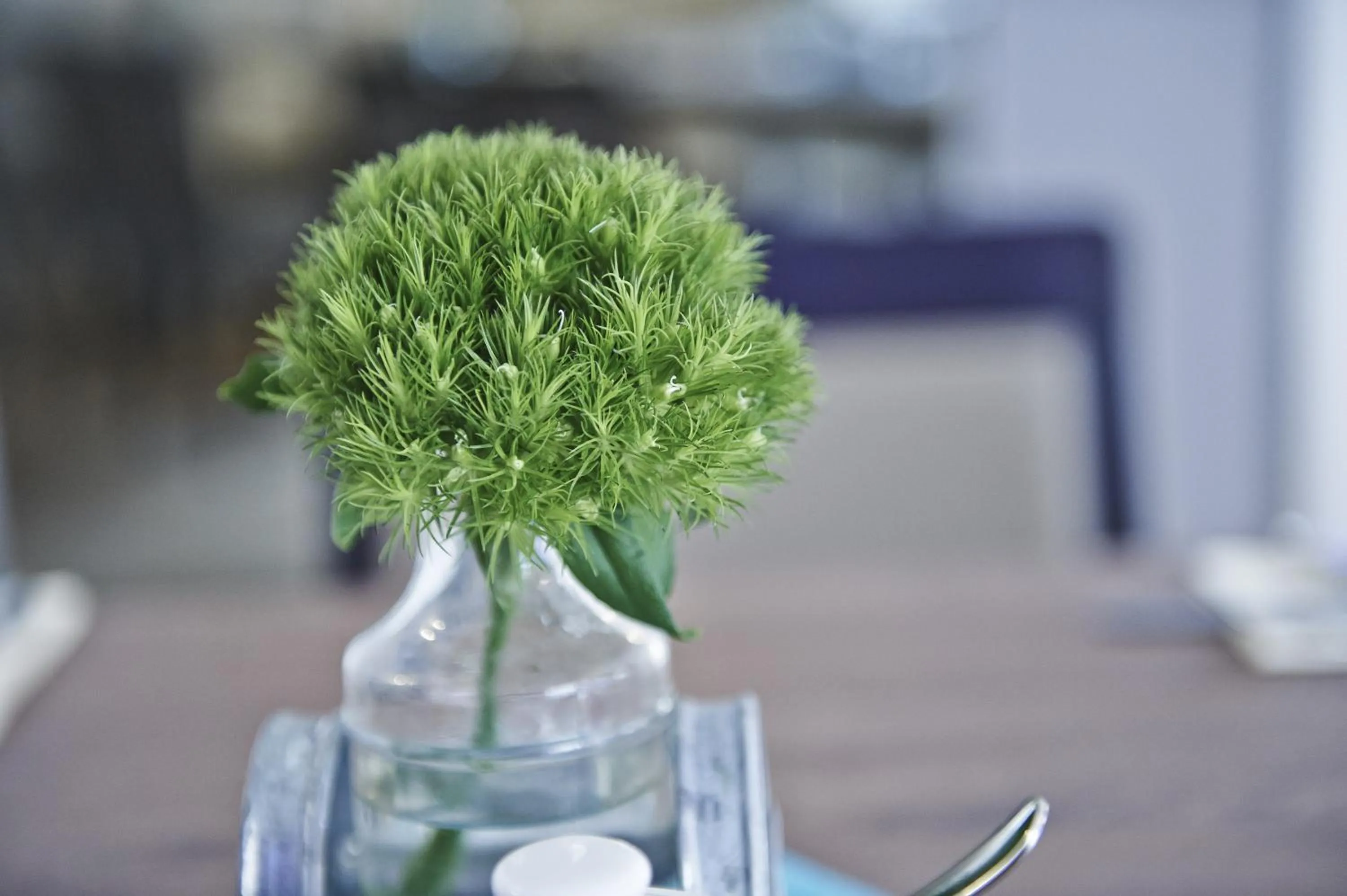 Buffet breakfast in Hotel Elch Boutique