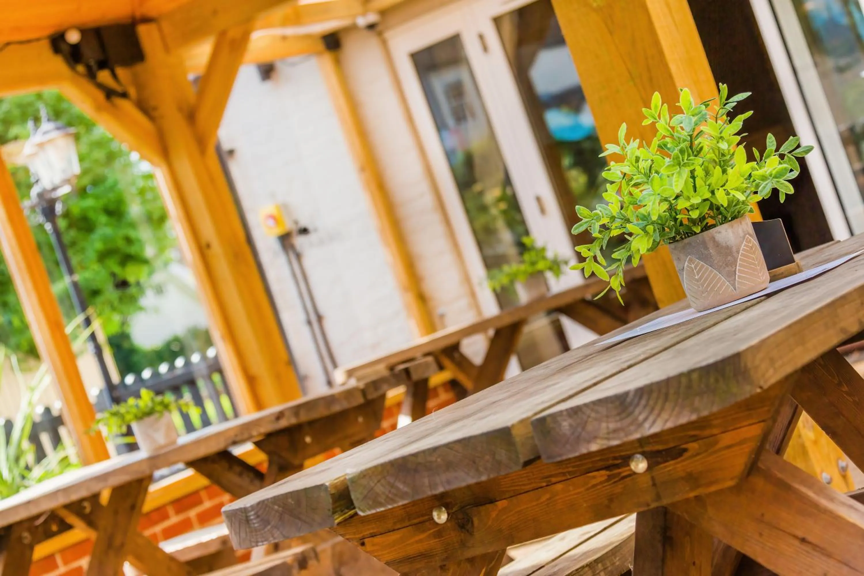 Garden in The Black Swan Inn