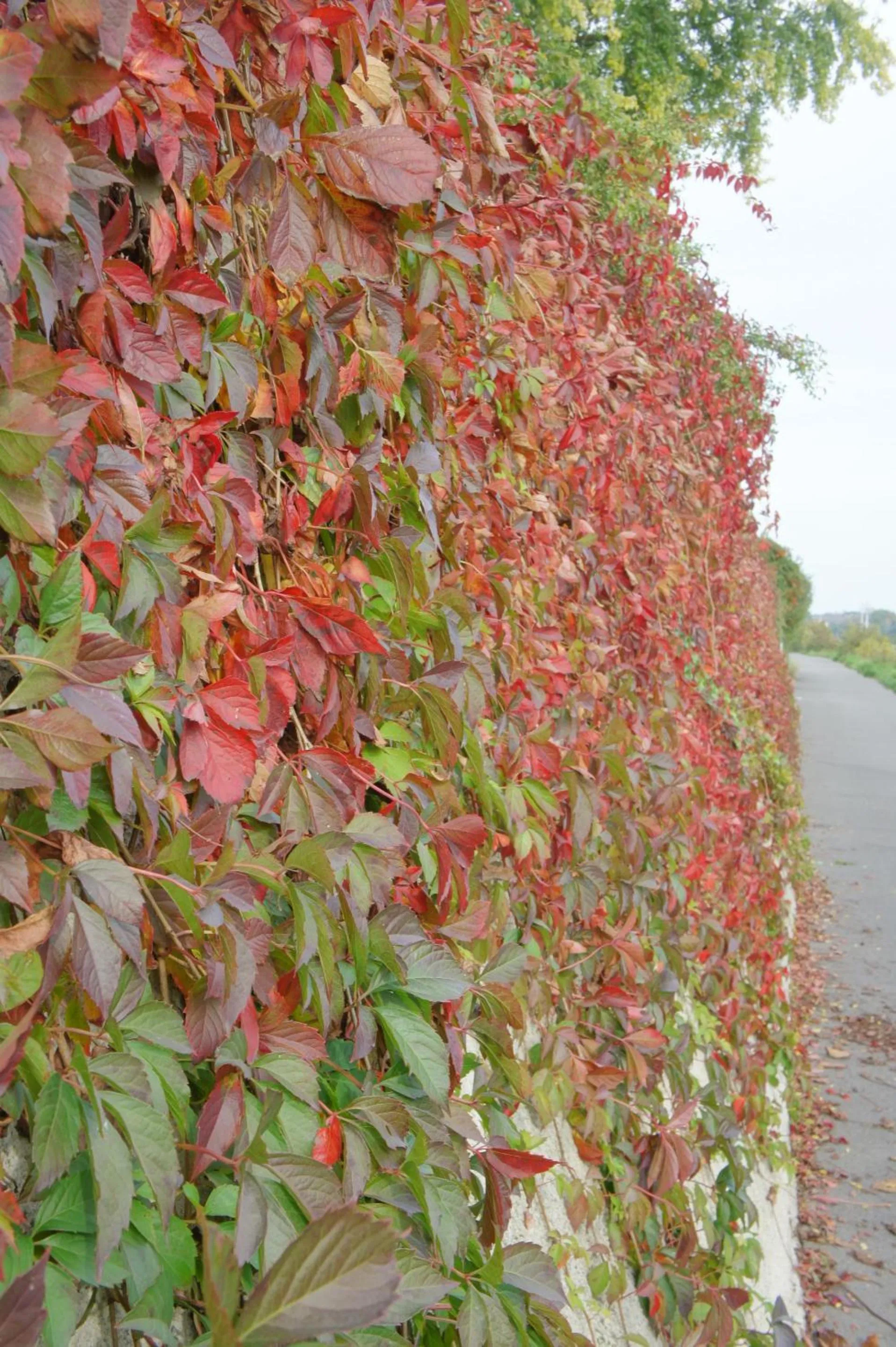 Property building in Alte Schreinerei Boutique Hotel