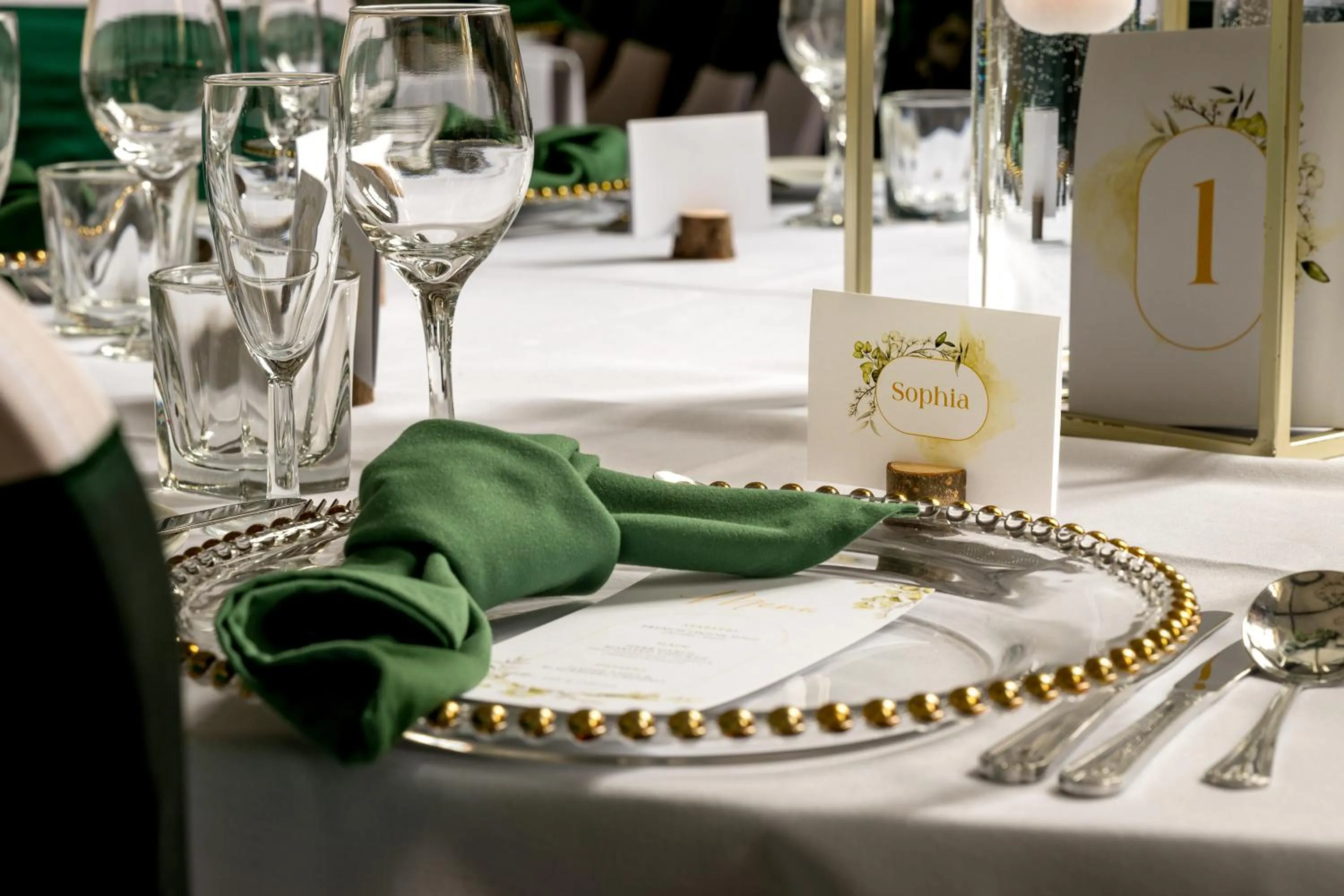 wedding in Stirling Highland Hotel- Part of the Cairn Collection