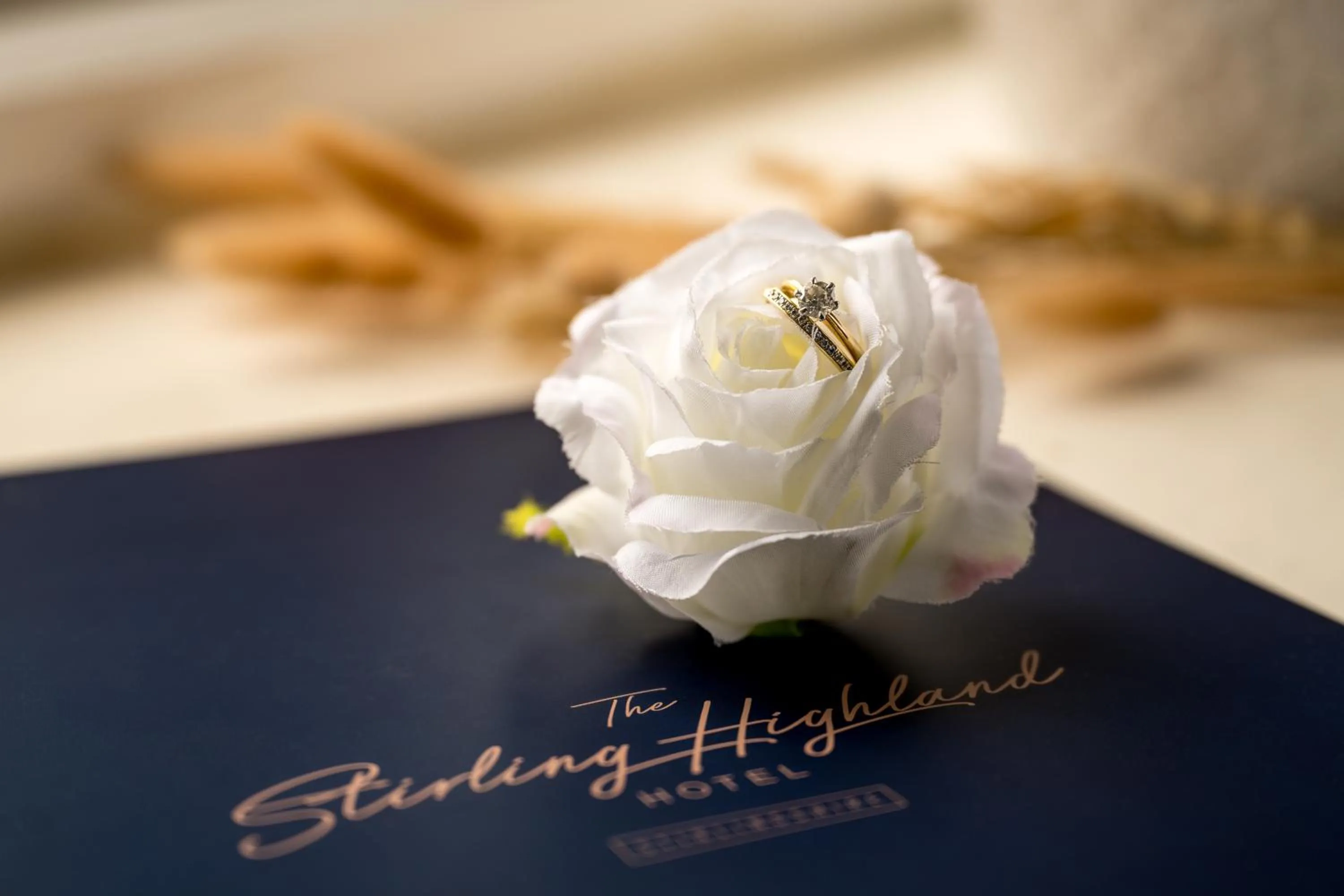 wedding in Stirling Highland Hotel- Part of the Cairn Collection