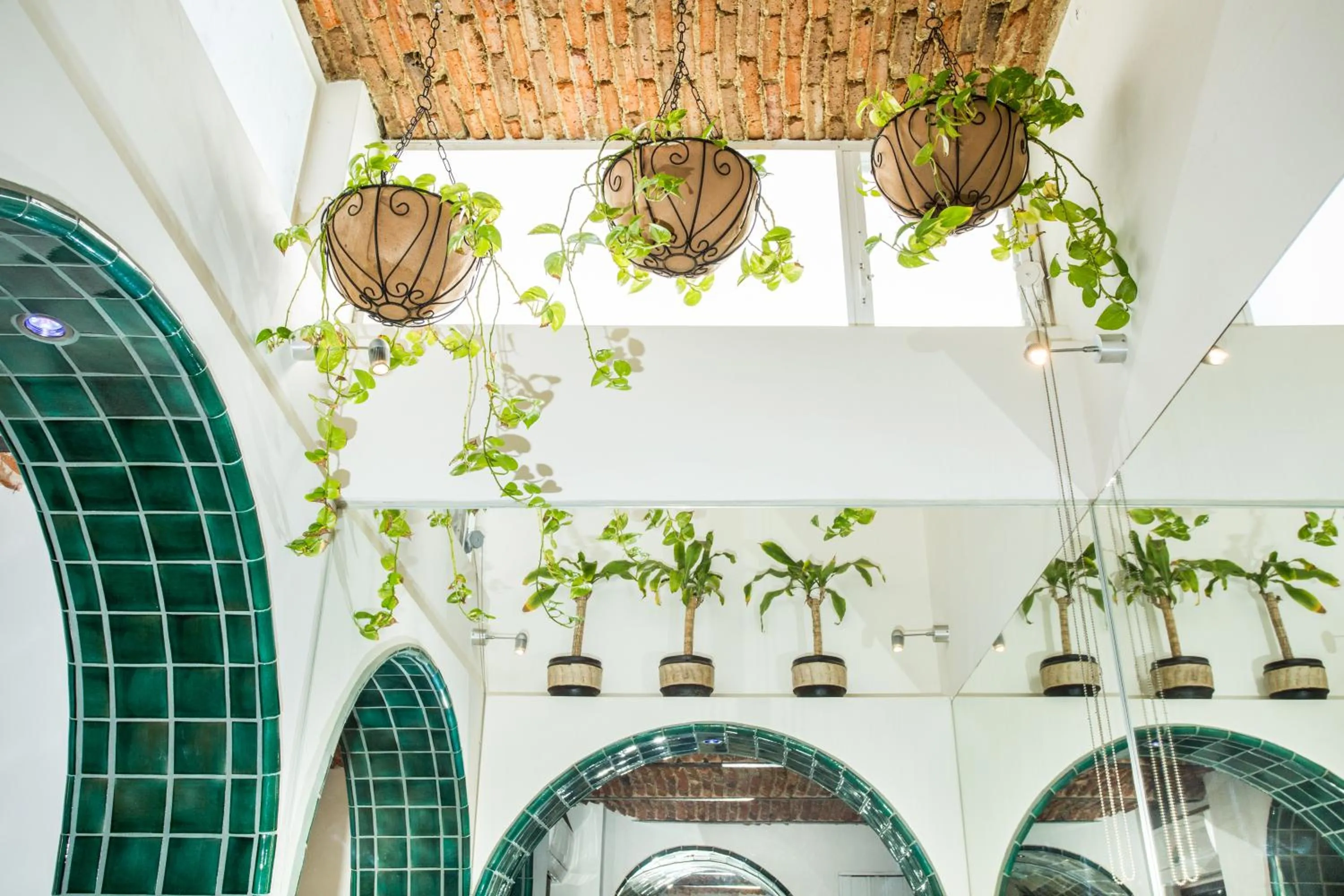 Garden in Quinta Don Jose Boutique Hotel