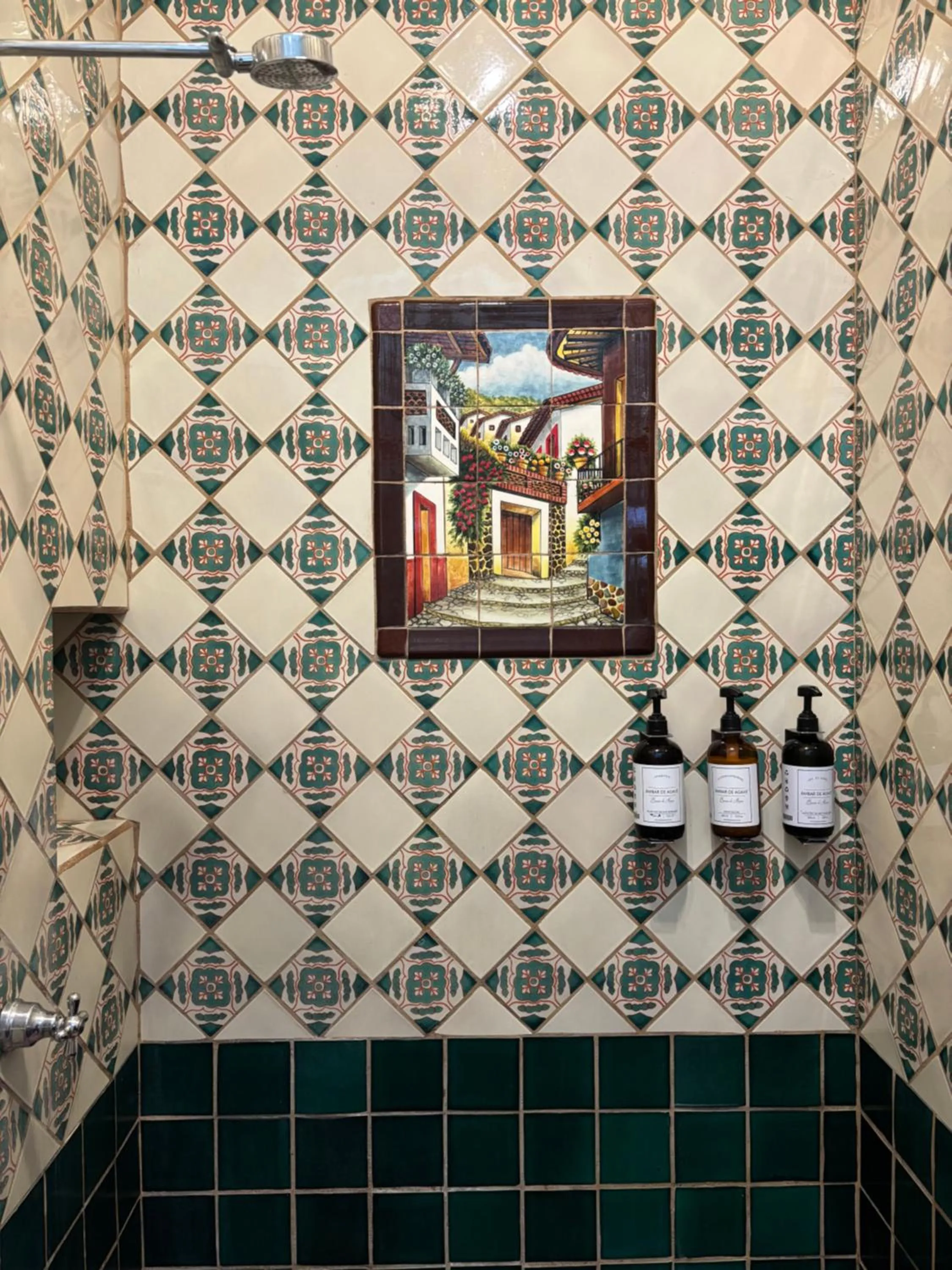 Shower in Quinta Don Jose Boutique Hotel