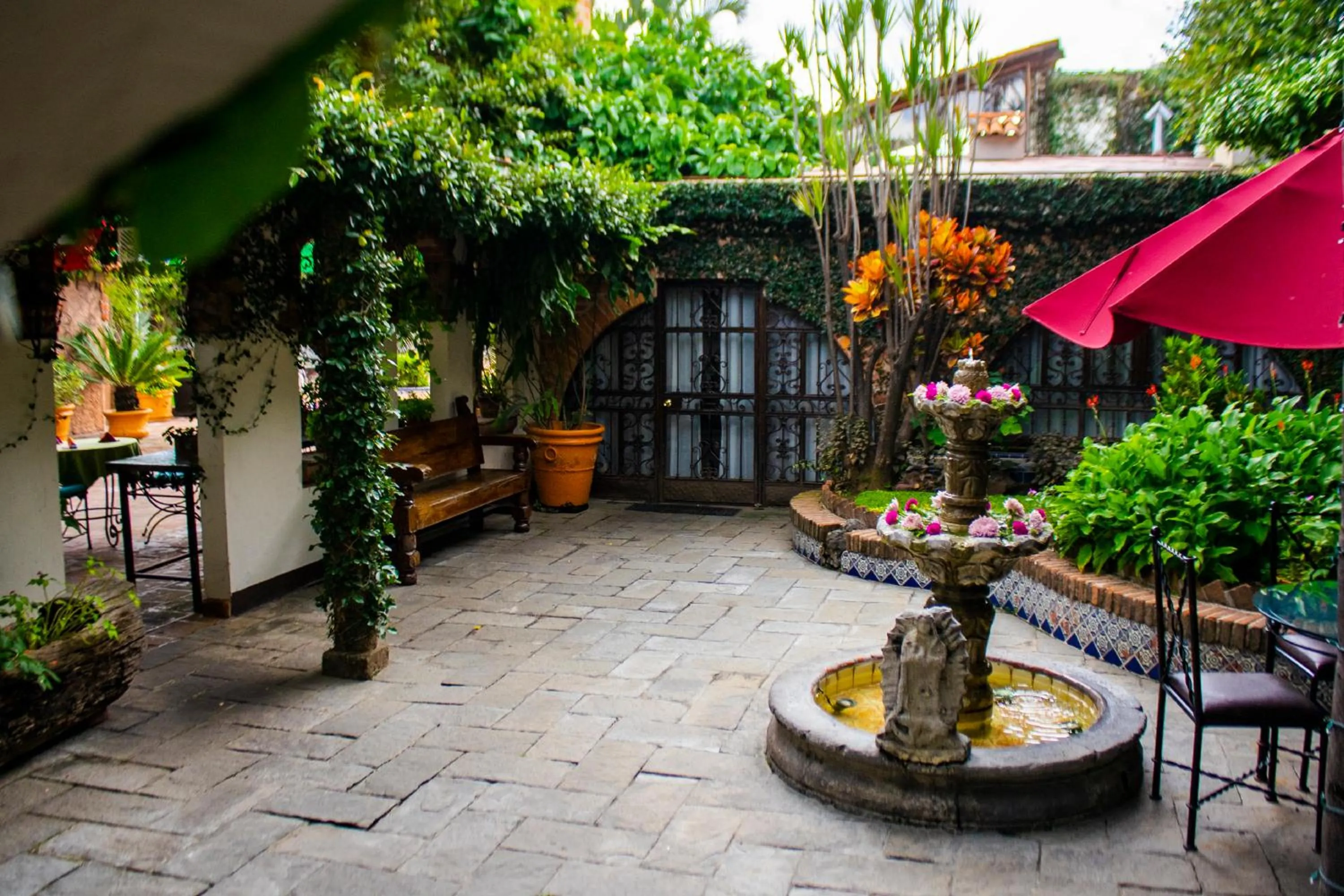 Garden in Quinta Don Jose Boutique Hotel