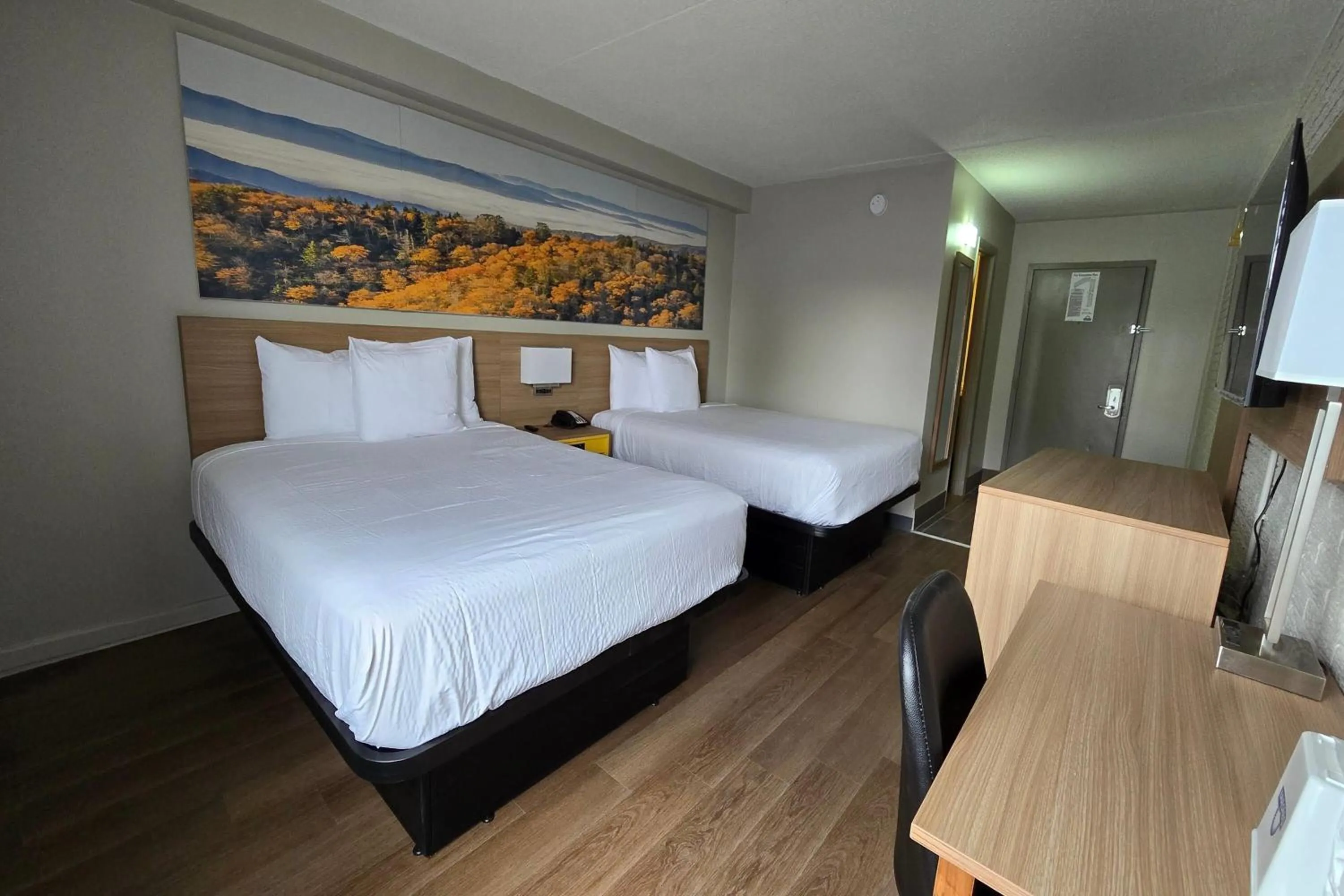 Photo of the whole room, Bed in Days Inn by Wyndham Manassas Battlefield