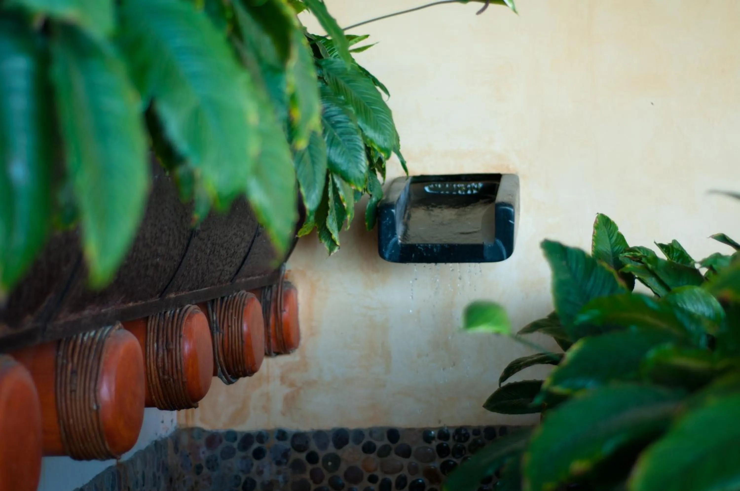 Garden in Tentaciones Hotel & Lounge Pool - Adults Only