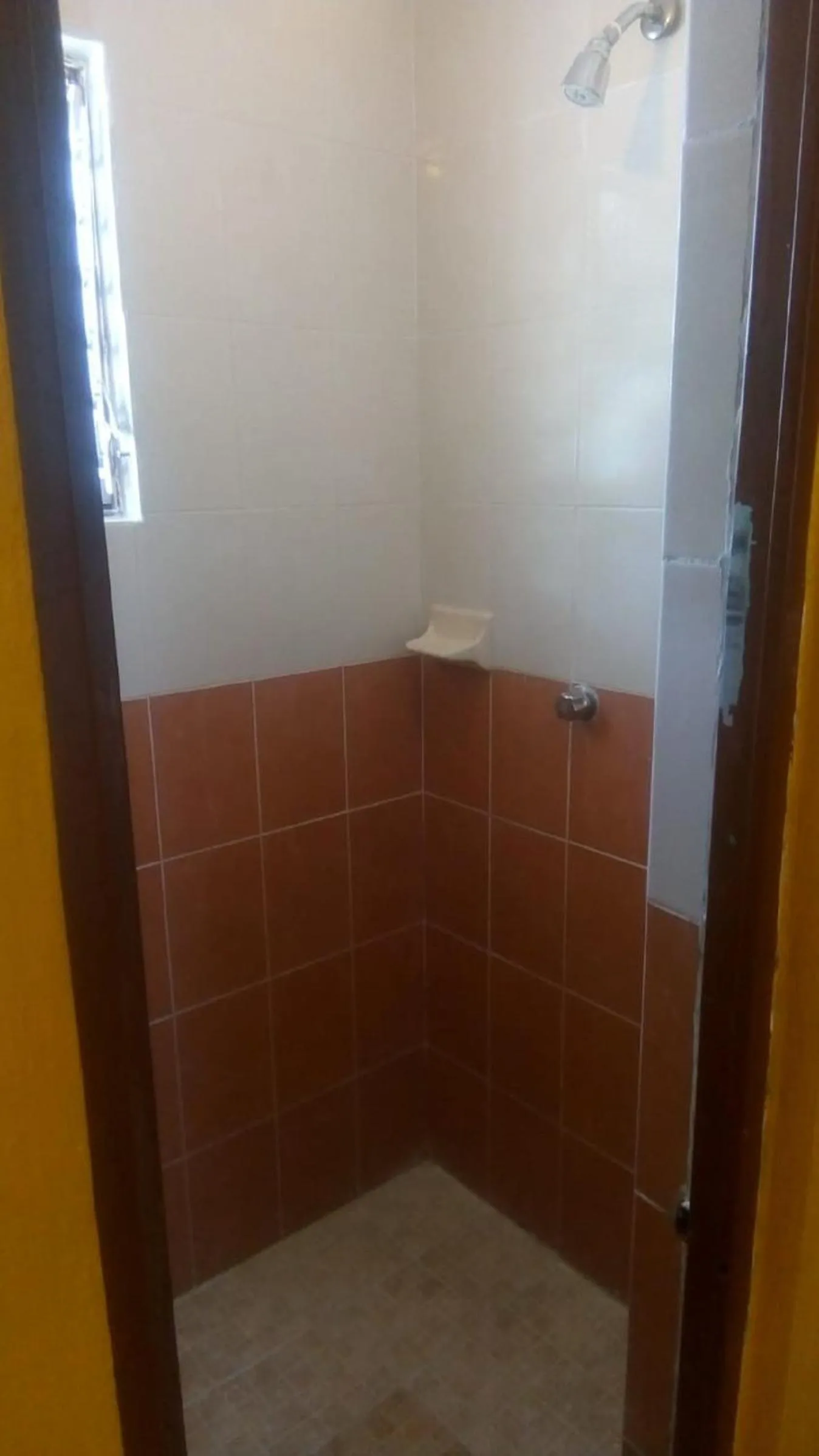 Single Bed in Mixed Dormitory Room in Planet Hostel
