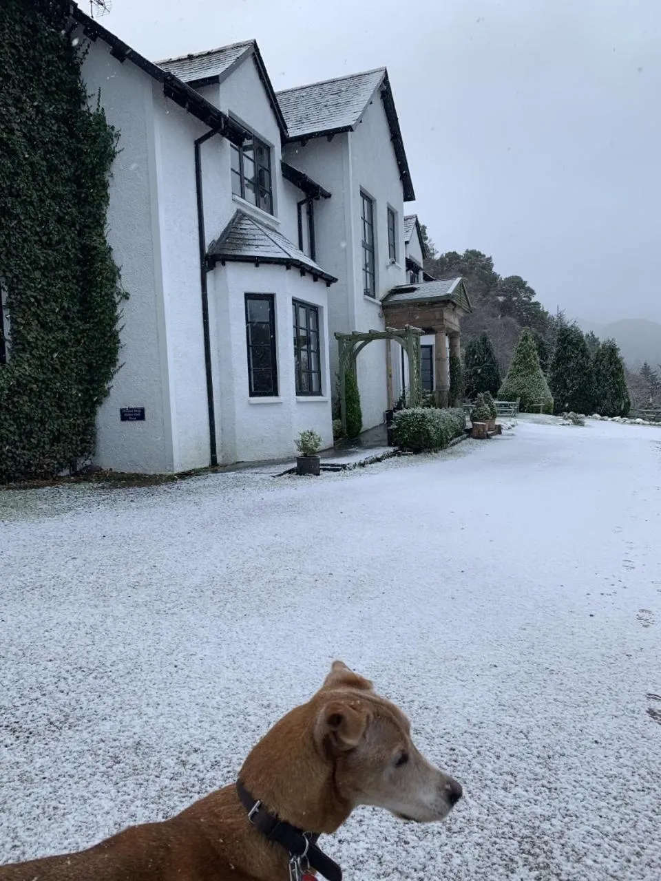 Winter in Craigdarroch Hotel