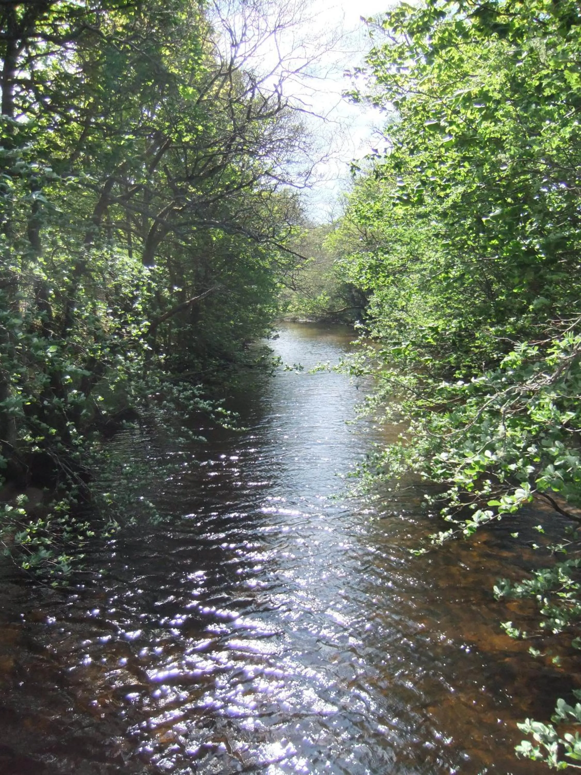 River view in Foyers House