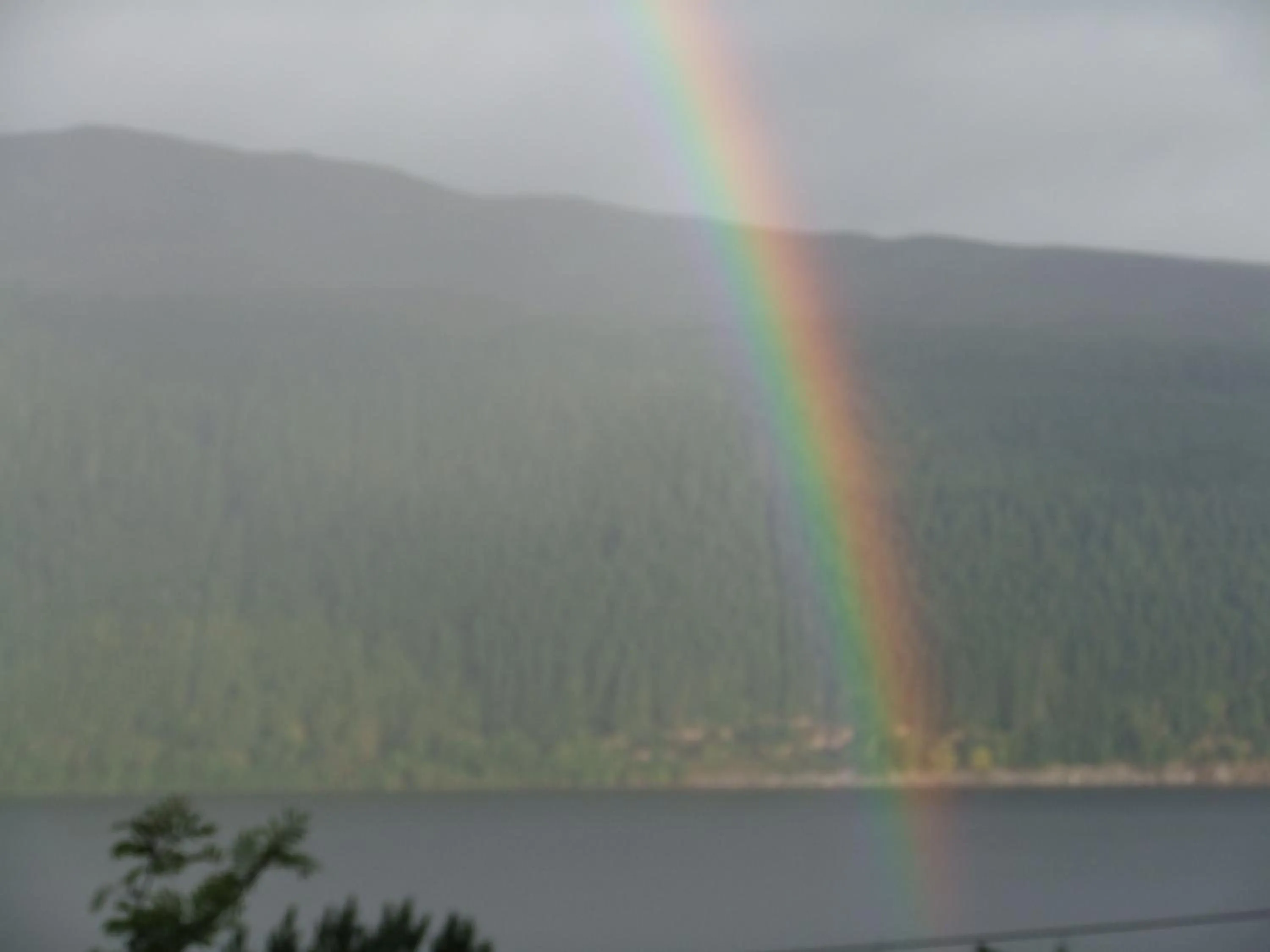 View (from property/room) in Foyers House