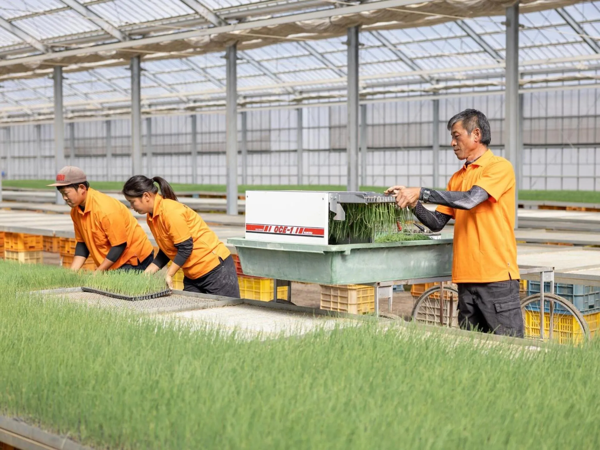 Breakfast in Hotel Taiyo Noen Tokushima Kenchomae