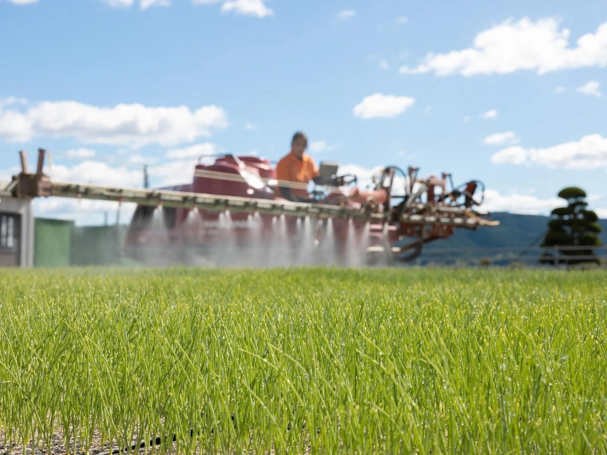 Breakfast in Hotel Taiyo Noen Tokushima Kenchomae