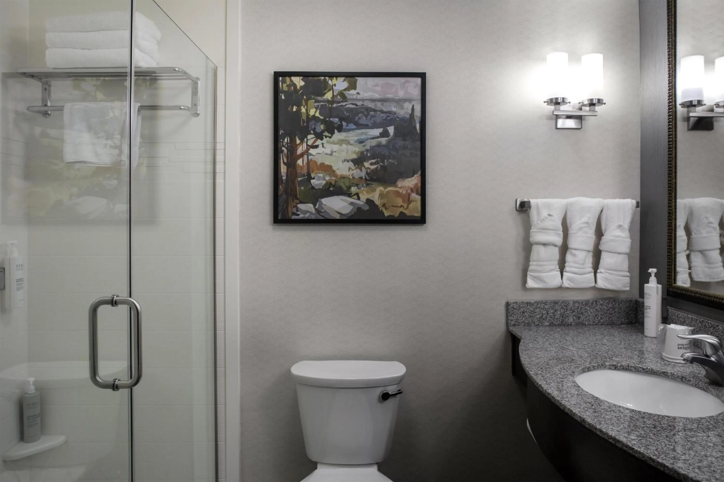 Bathroom in Hilton Garden Inn Denison/Sherman/At Texoma Event Center