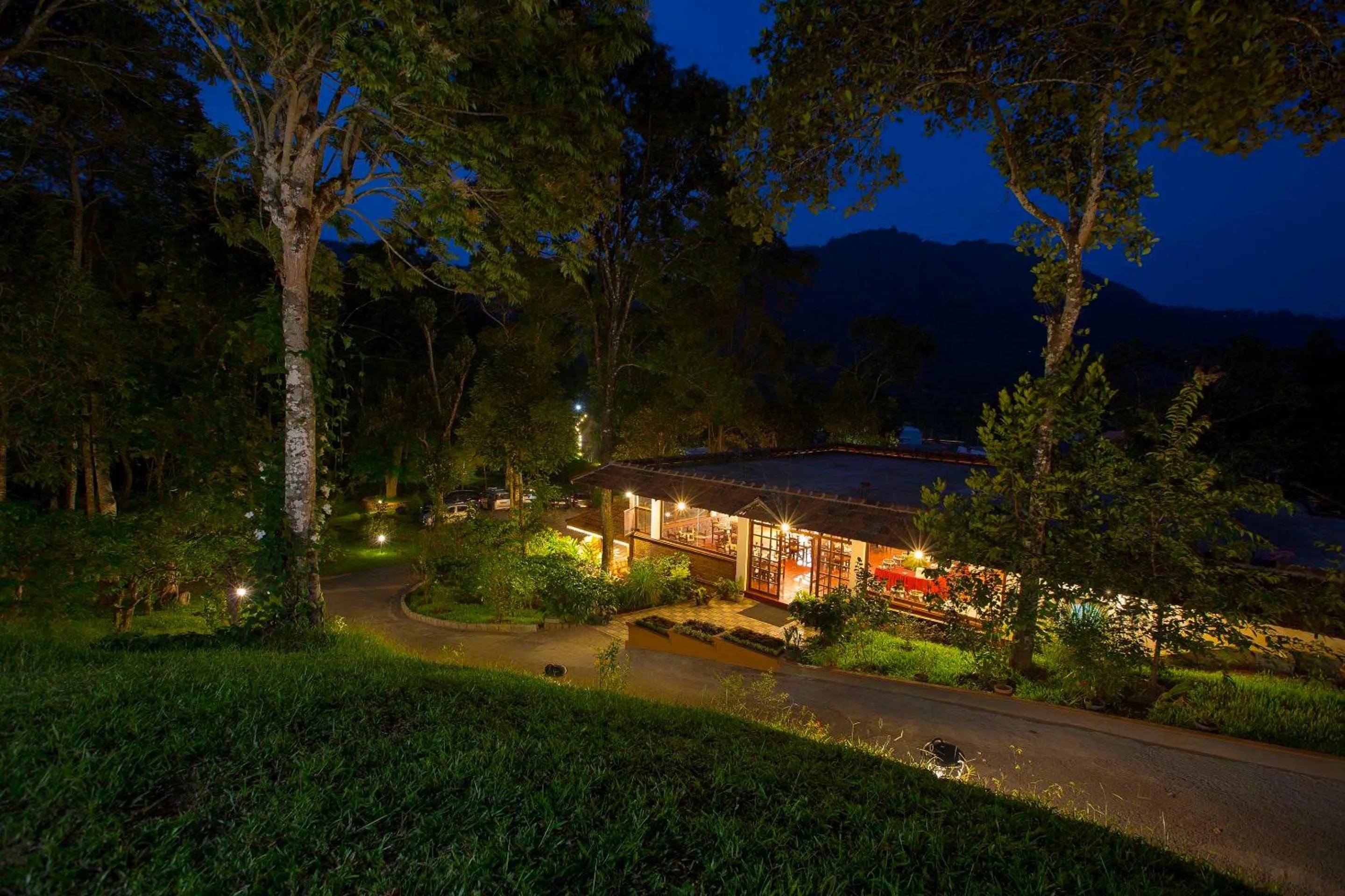 Night in Coffee Routes