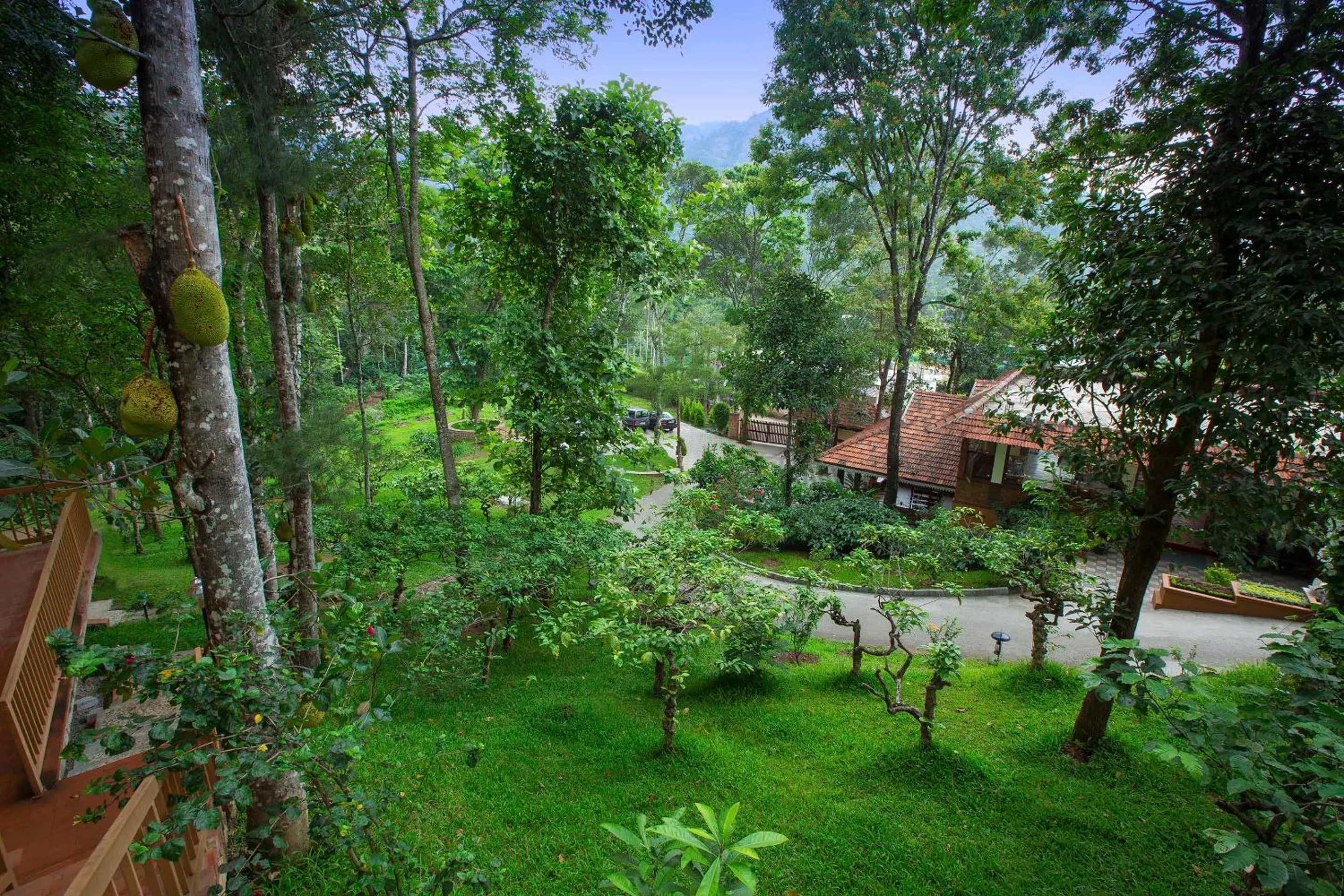 Day in Coffee Routes