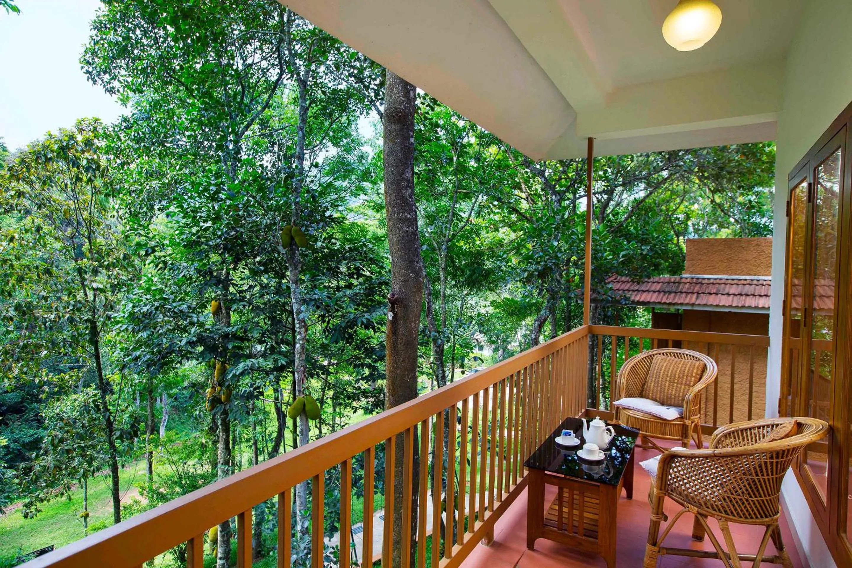 Balcony/Terrace in Coffee Routes
