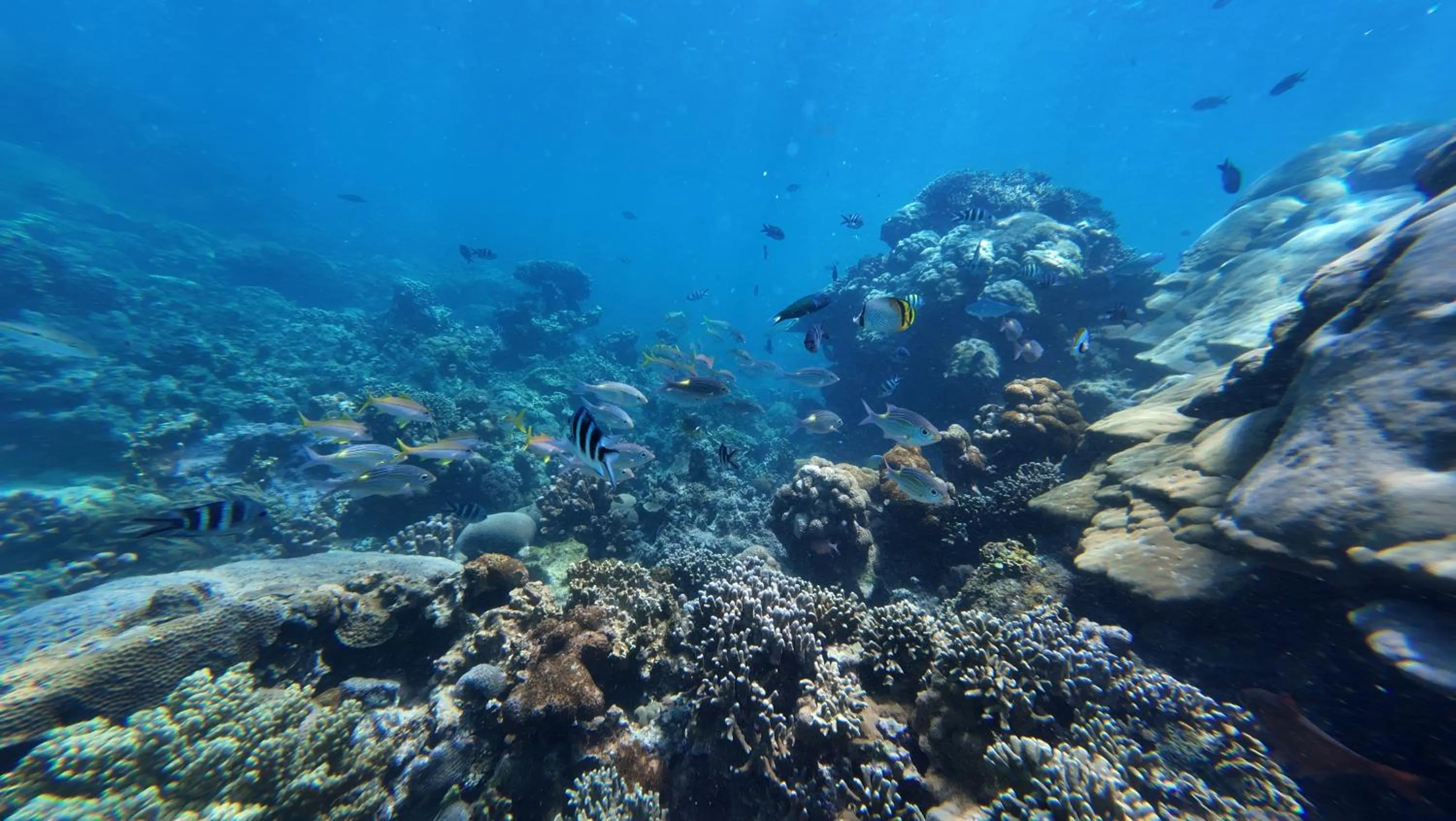 Activities in Boraha Village Ecolodge