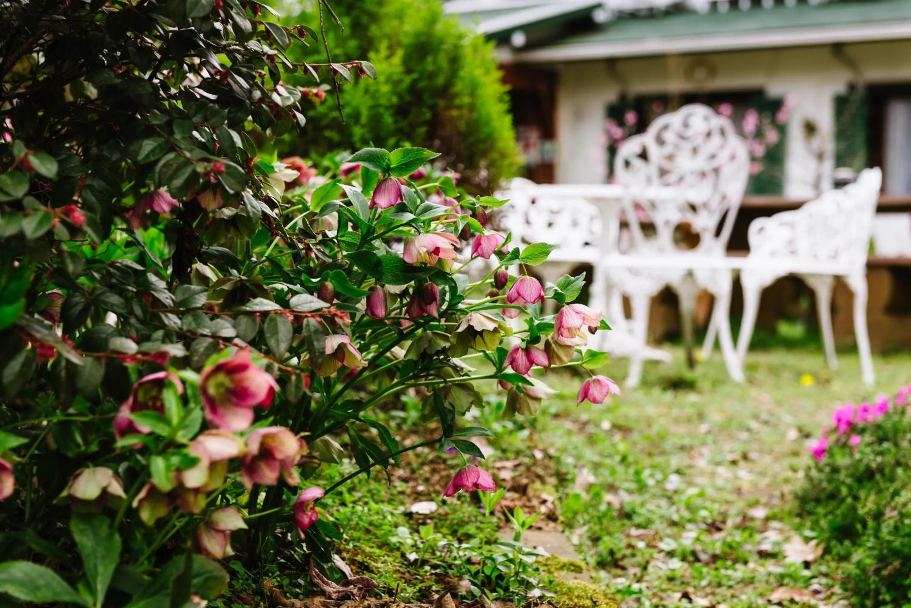 Other in Pension Yufuin