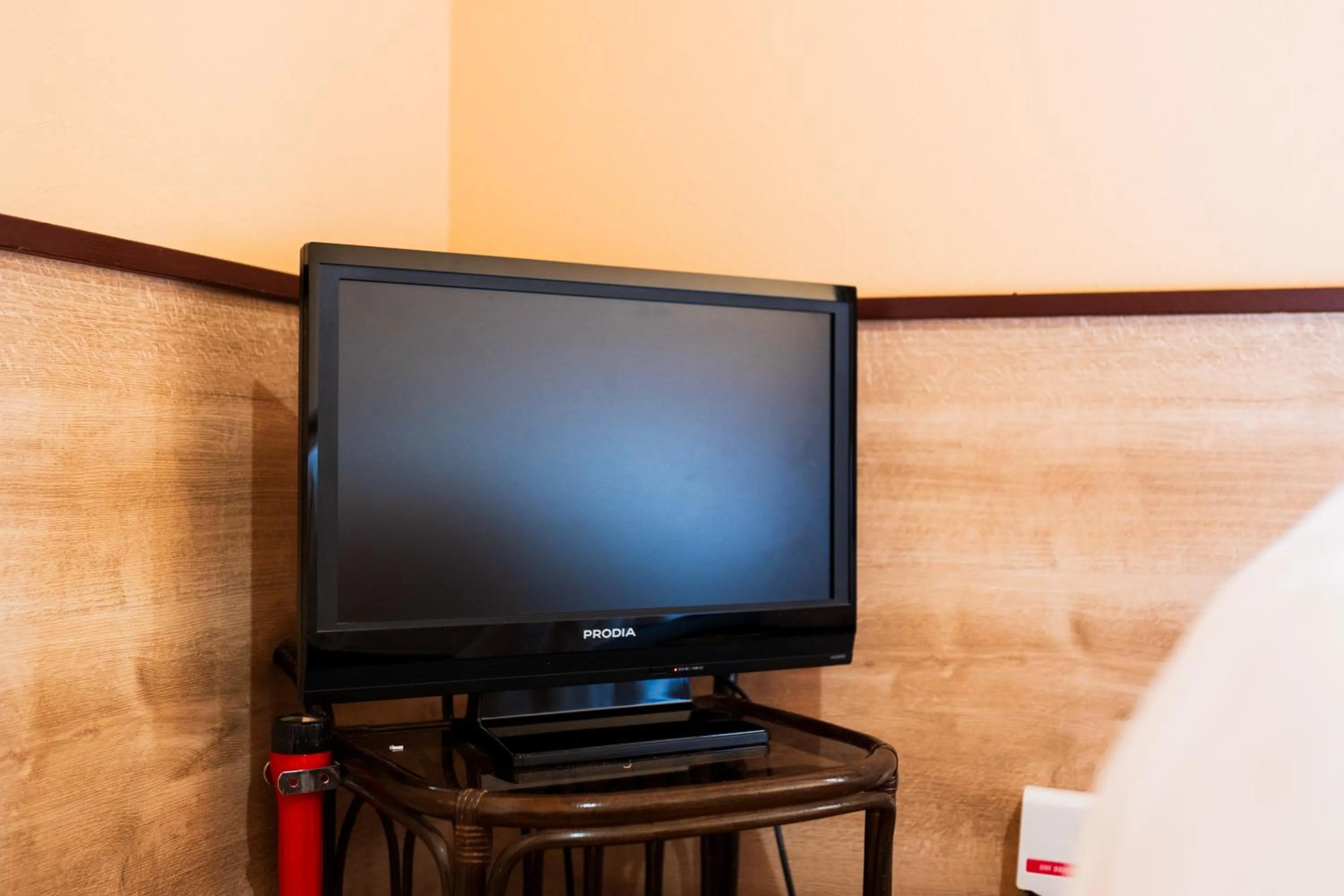 TV and multimedia in Pension Yufuin