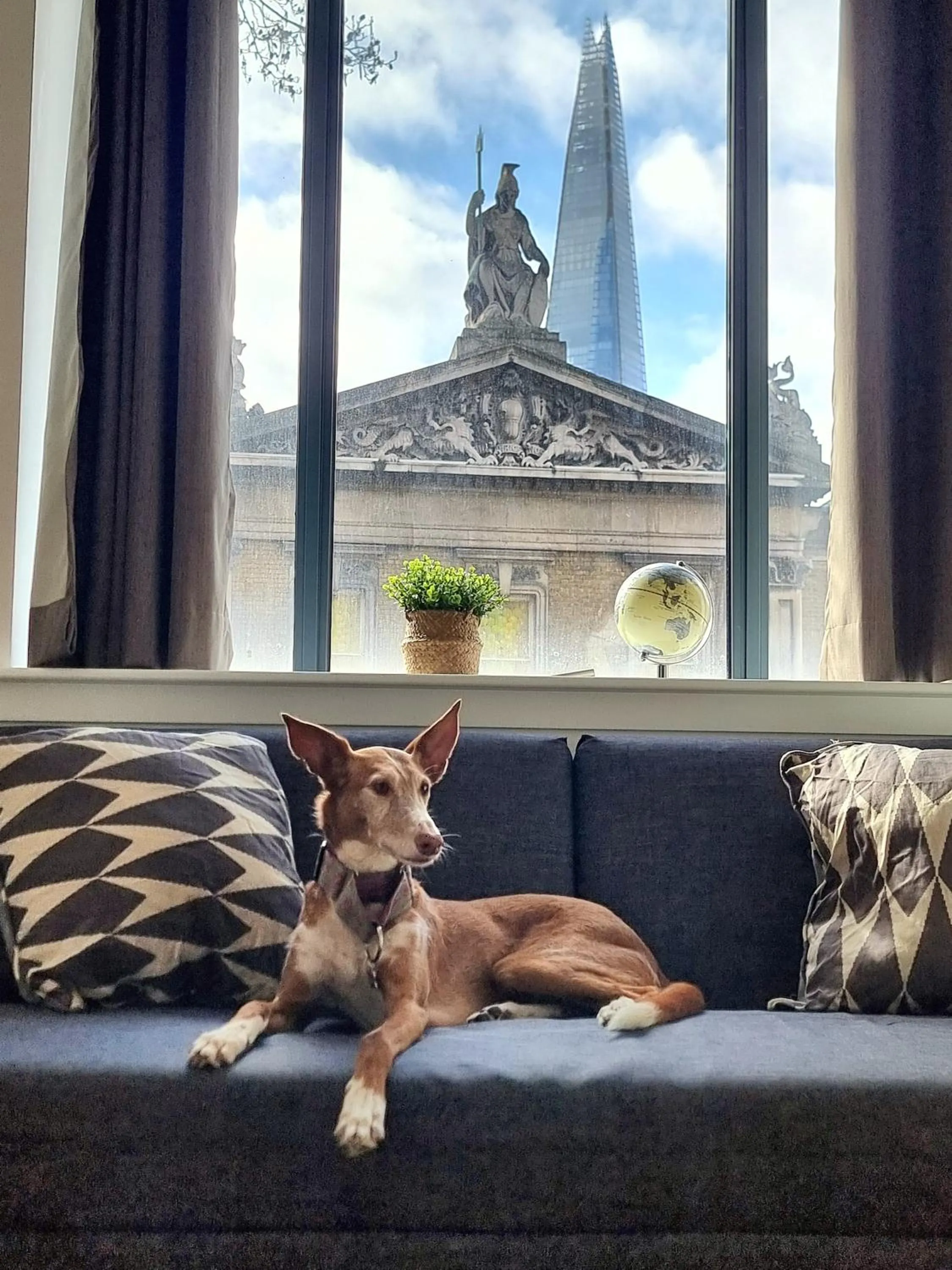 Shard View Apartments