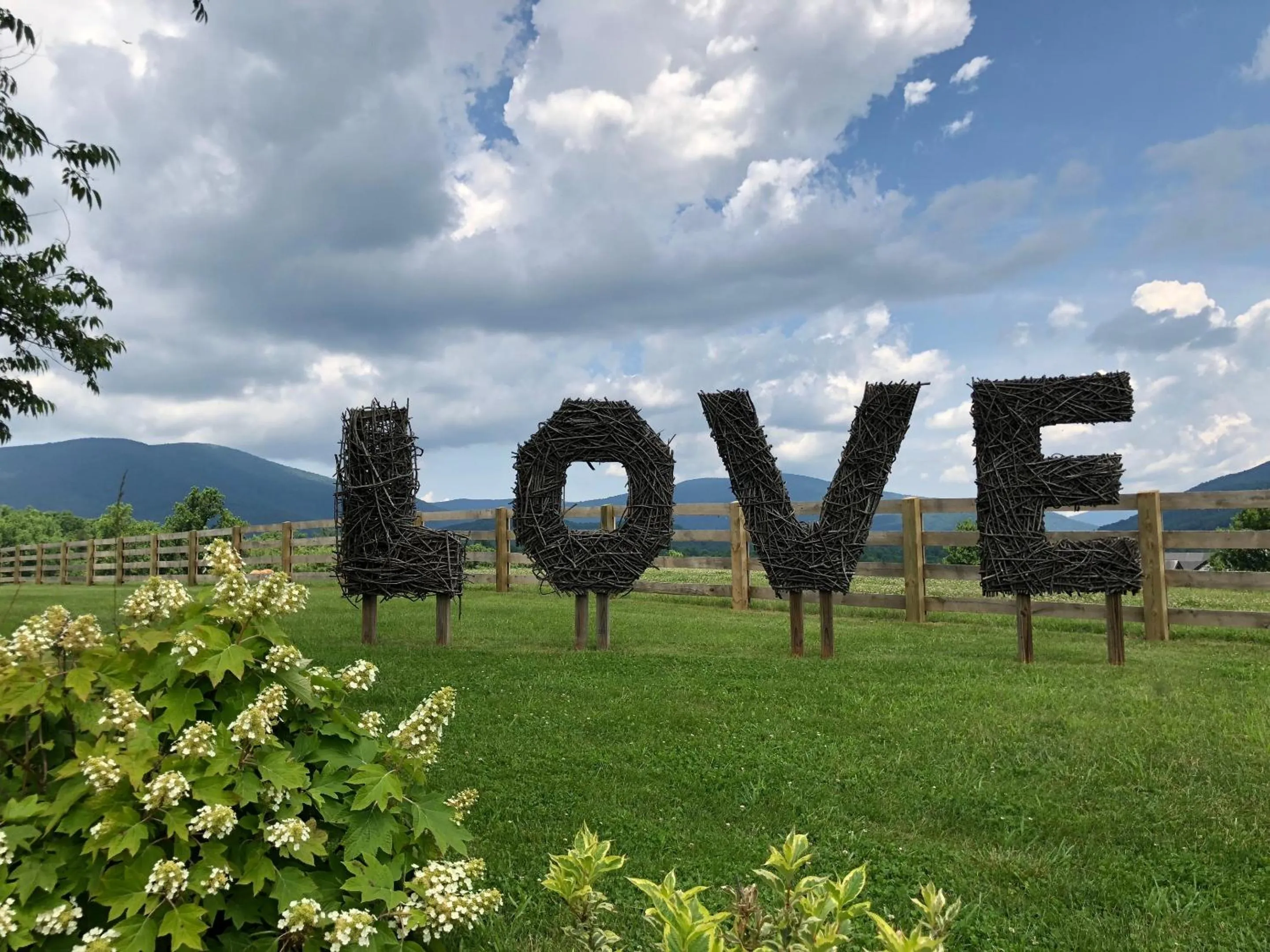 View (from property/room) in Montfair Resort Farm
