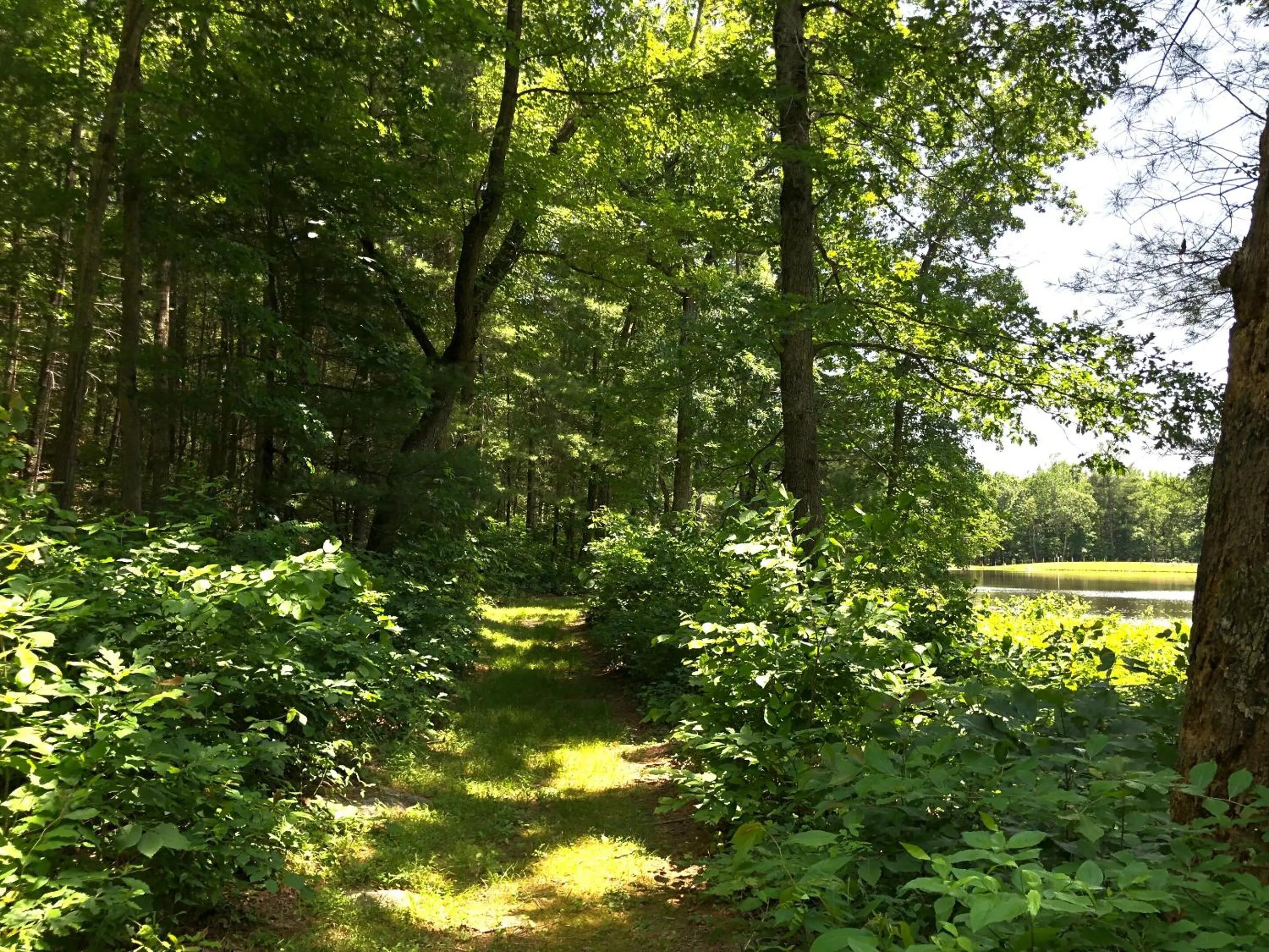 Other in Montfair Resort Farm